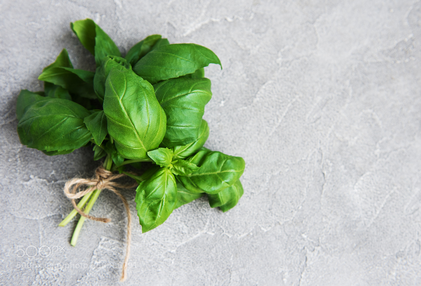 Nikon D750 sample photo. Fresh green basil herb photography