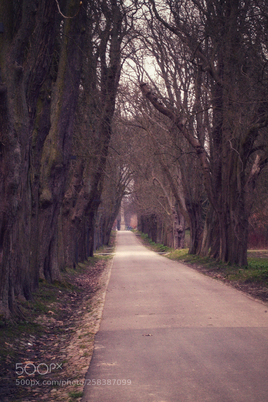 Sony SLT-A58 sample photo. Cloudy day in the photography