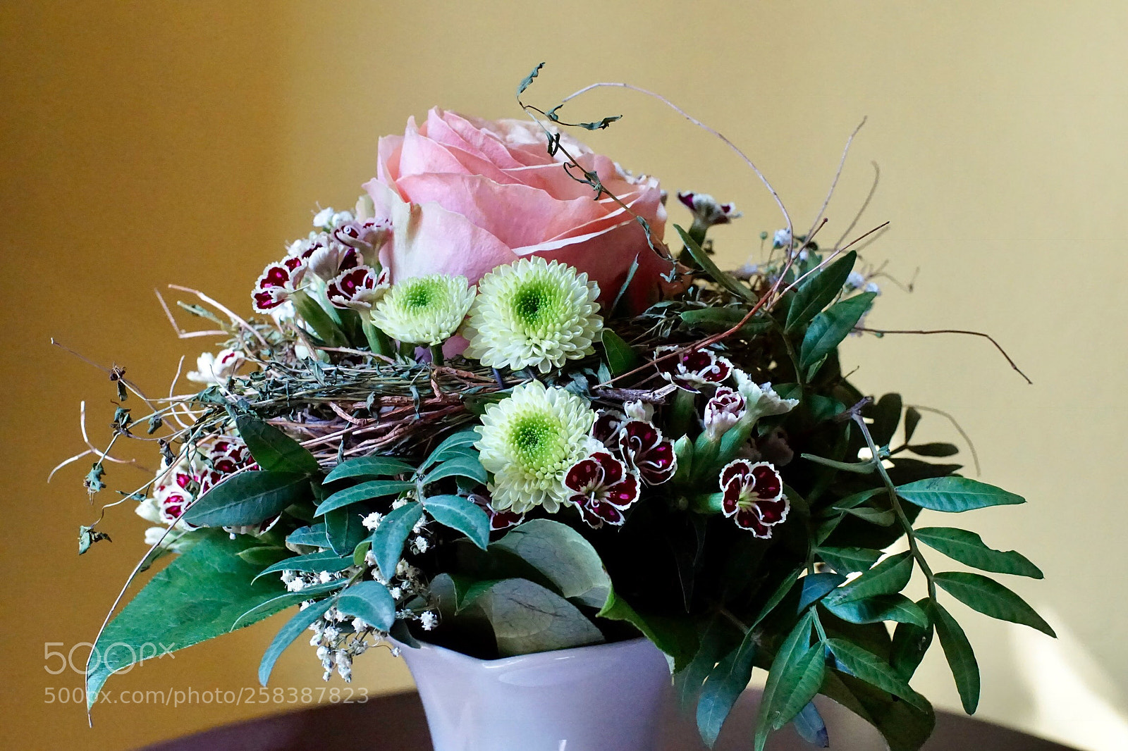 Sony ILCA-77M2 sample photo. Untitled photography