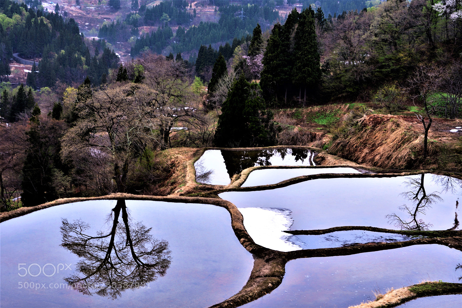 Nikon D500 sample photo. 水鏡 photography