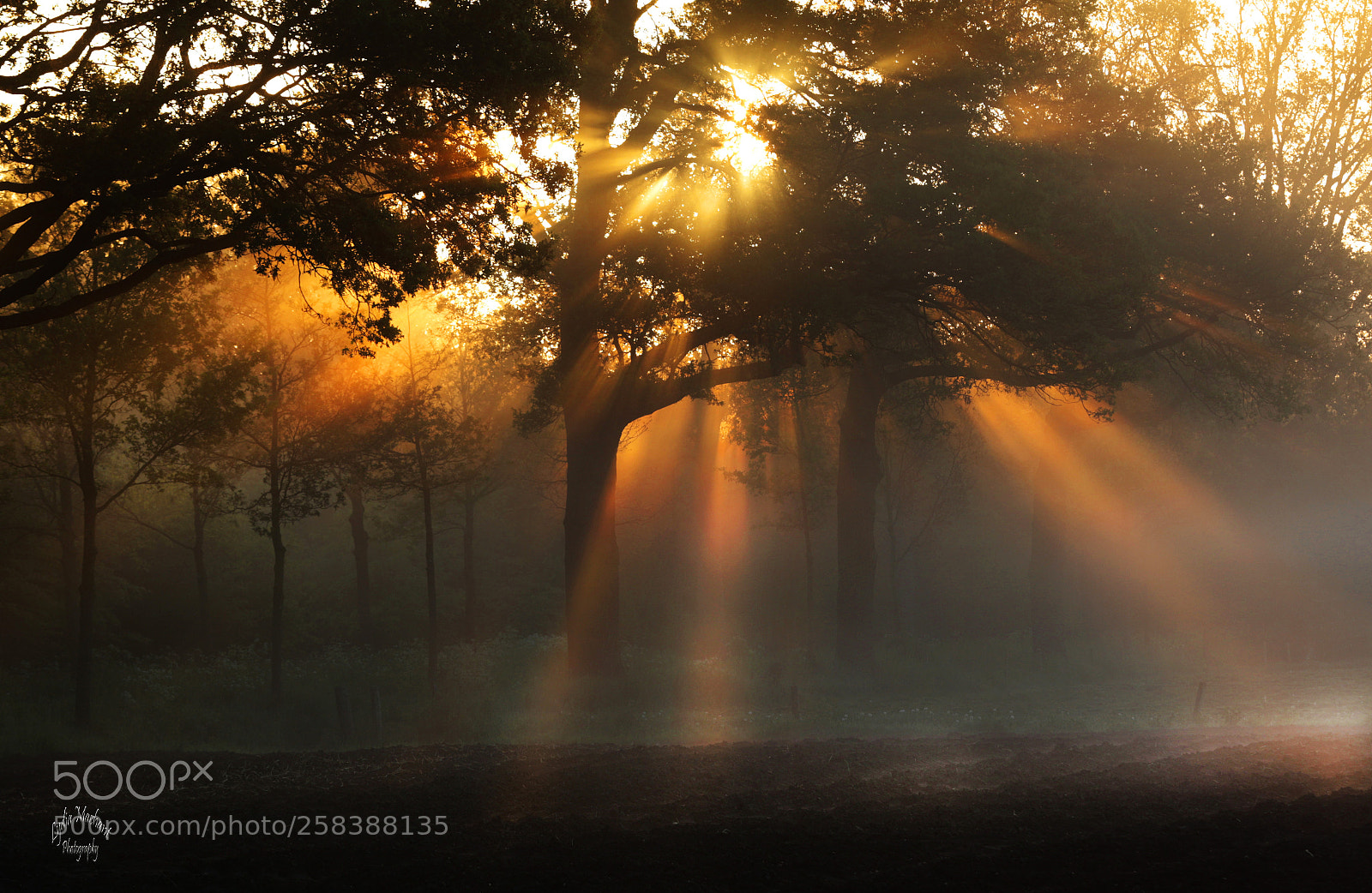 Canon EOS 7D Mark II sample photo. Beauty at sunrise photography