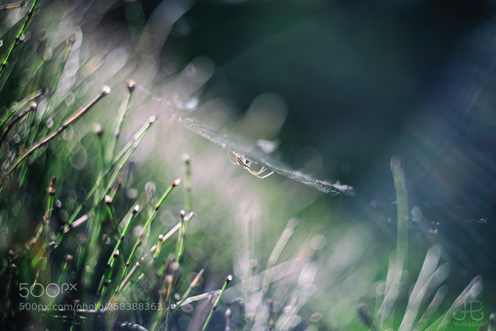 Canon EOS 6D sample photo. So that everyone has photography