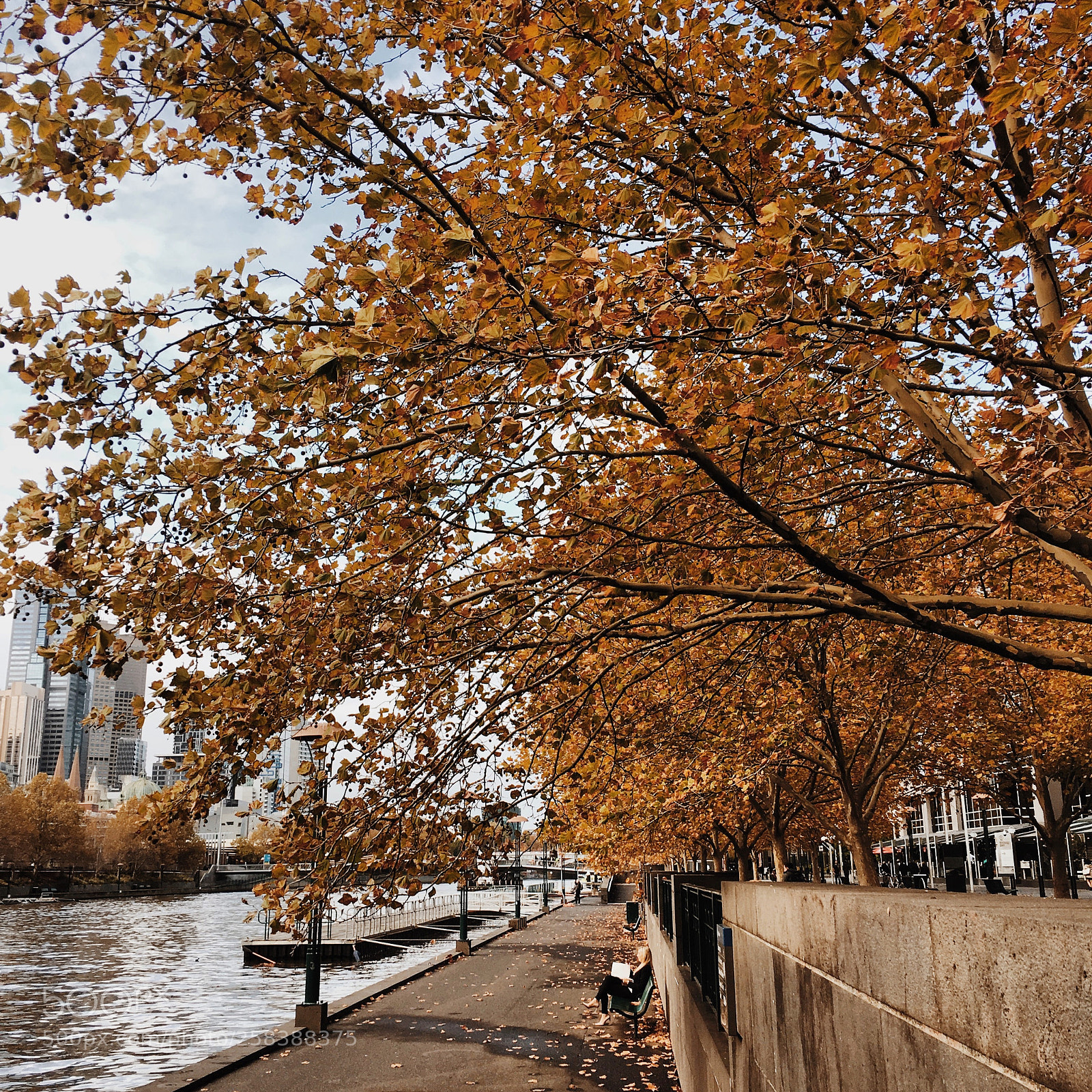 Apple iPhone 6s sample photo. Flavors of autumn... photography