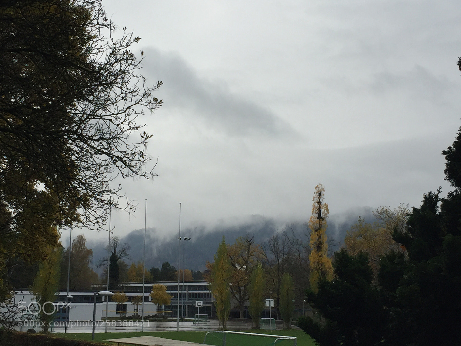 Apple iPhone 6 sample photo. Winter is moody  photography