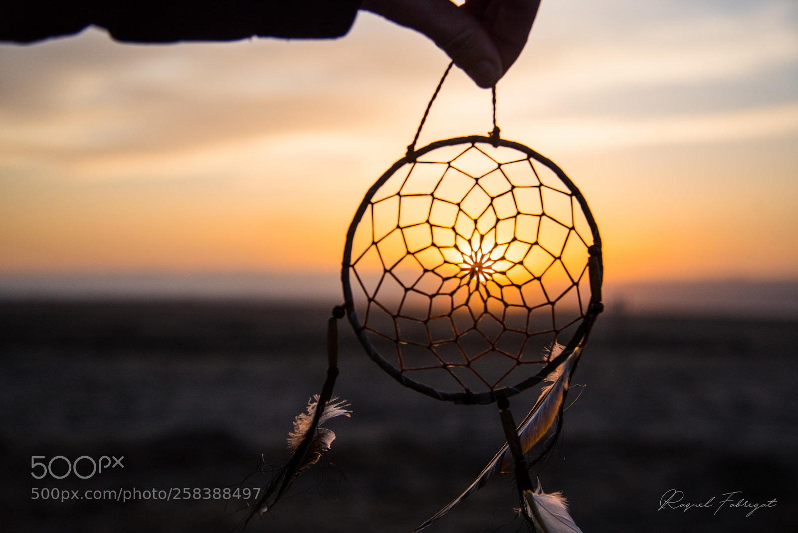 Nikon D750 sample photo. Catching the sunset photography