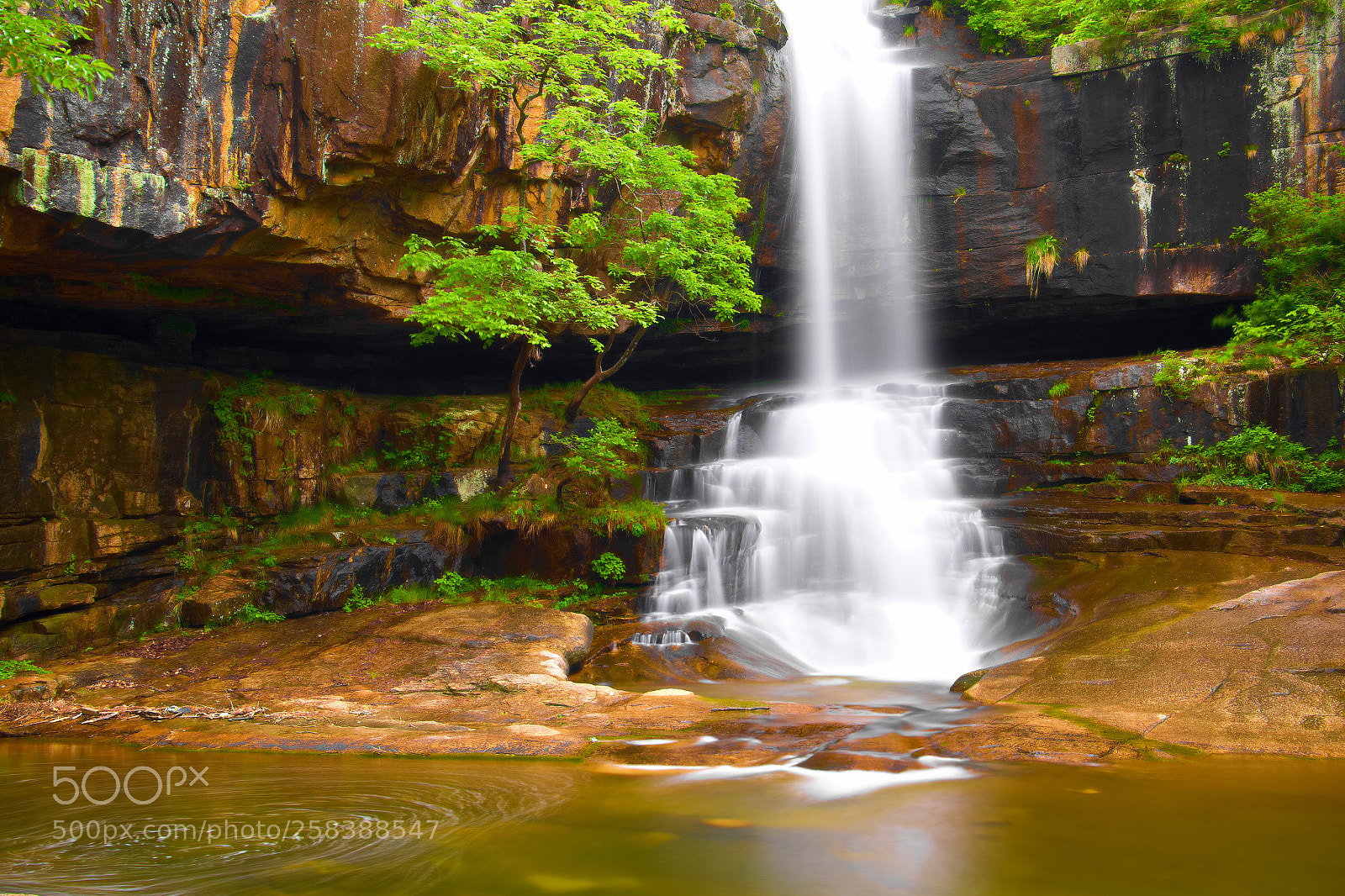 Nikon D500 sample photo. Waterfall photography
