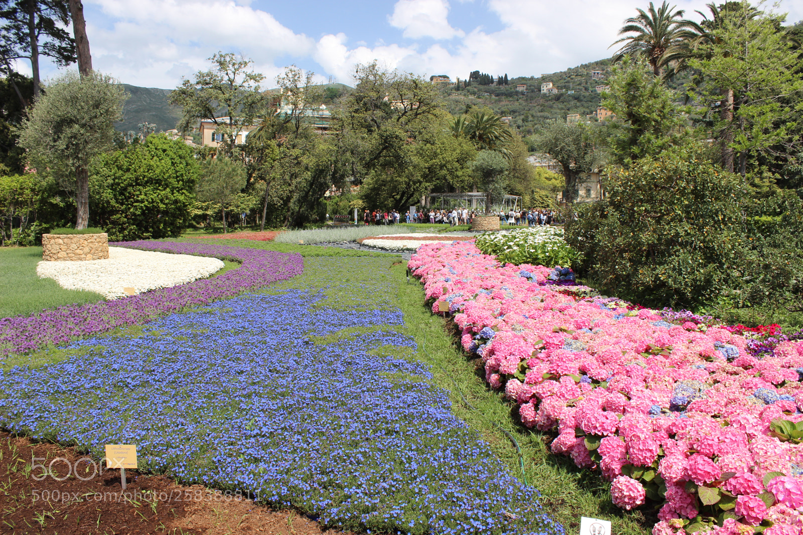Canon EOS 600D (Rebel EOS T3i / EOS Kiss X5) sample photo. Background photography