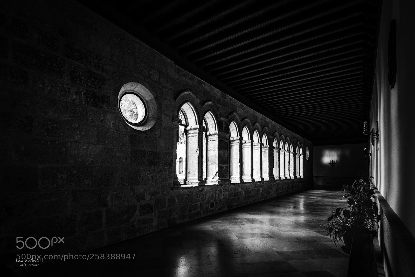 Nikon D810 sample photo. Luz divina ii photography