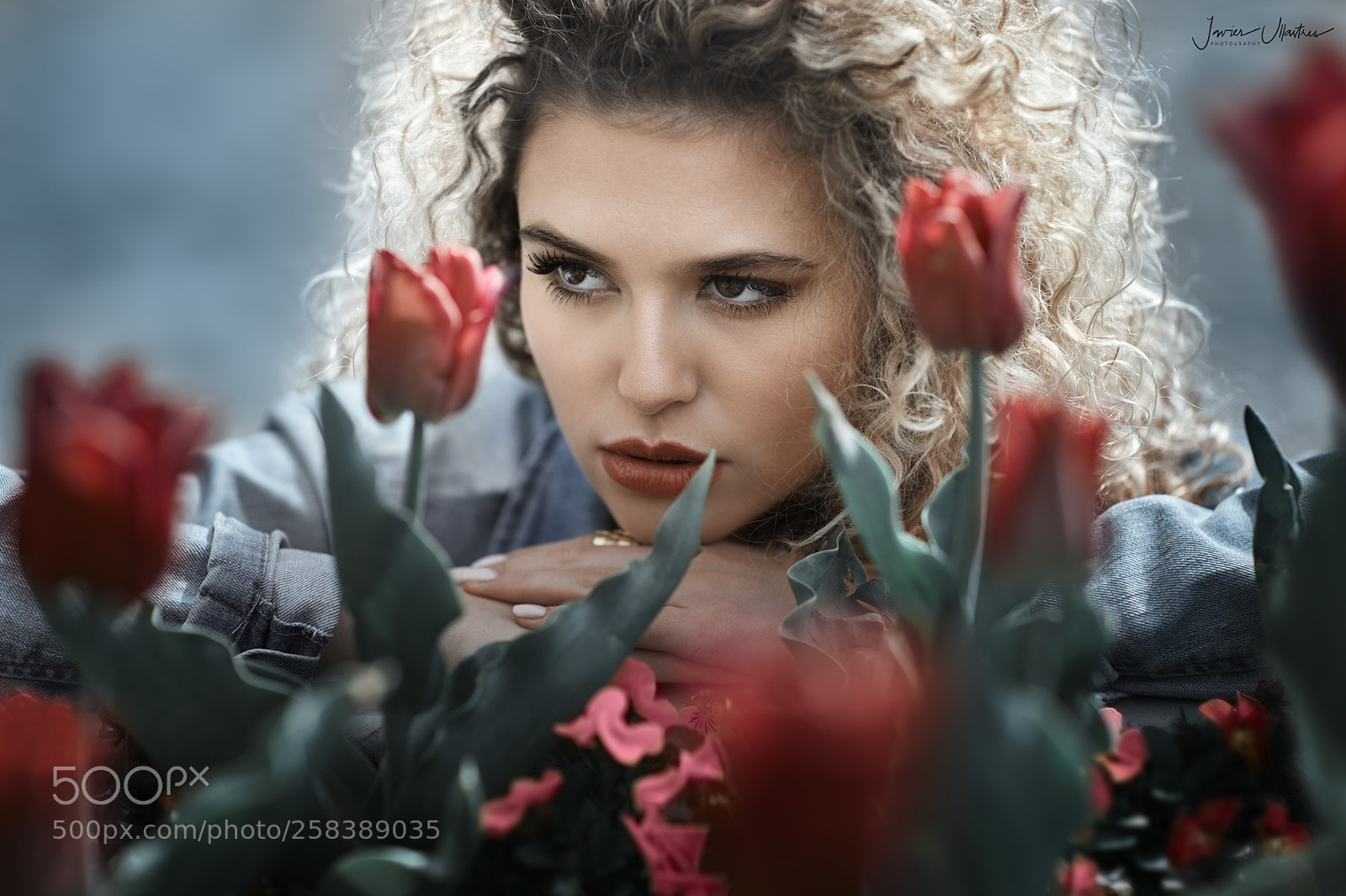 Canon EOS 5D Mark IV sample photo. Tulips and marina photography