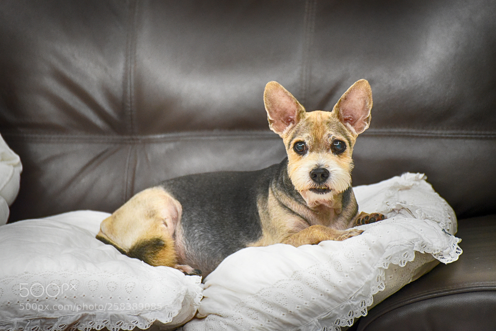 Nikon D750 sample photo. 20150809.jpg photography