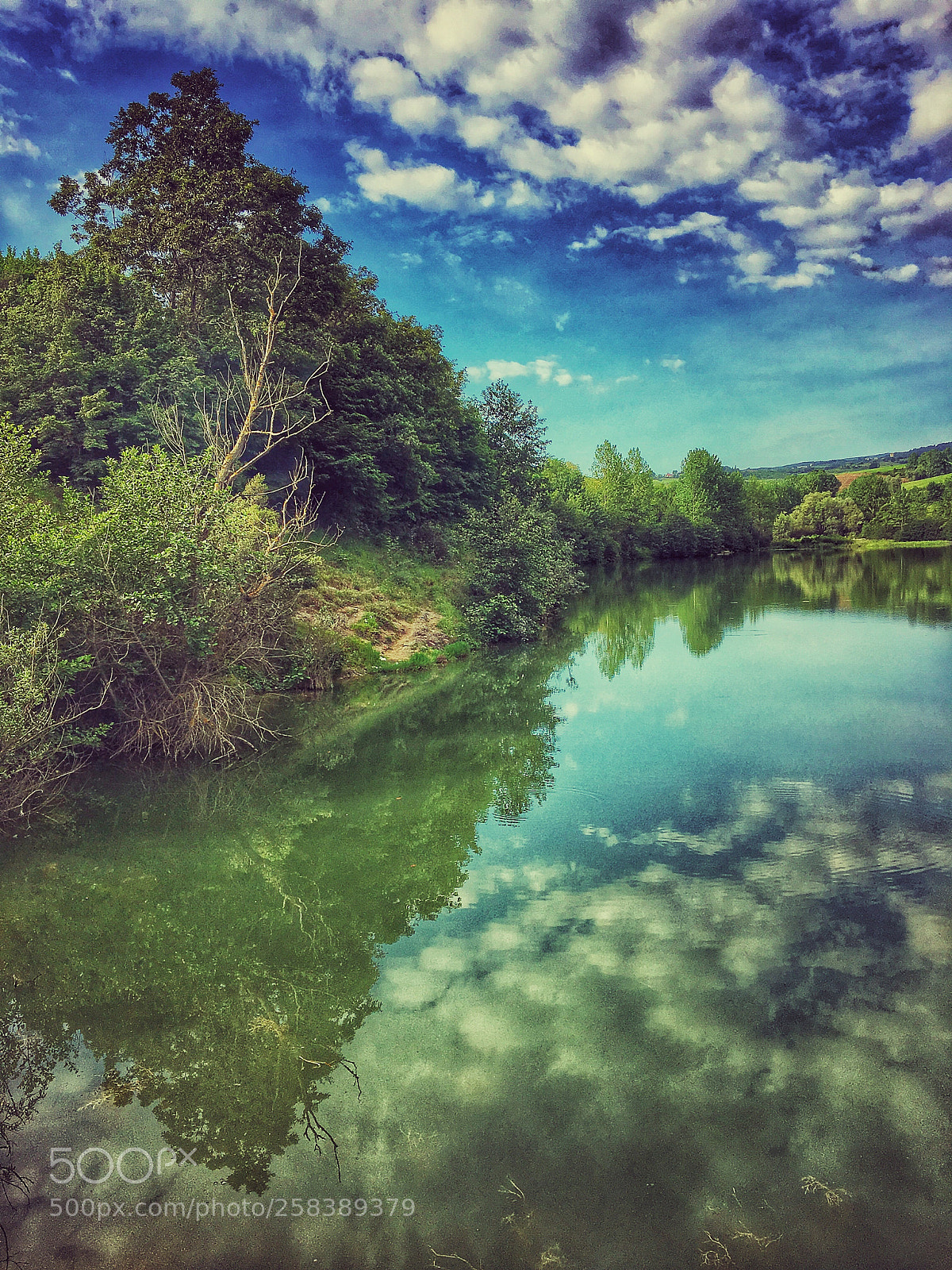 Apple iPhone 6s sample photo. Untitled photography
