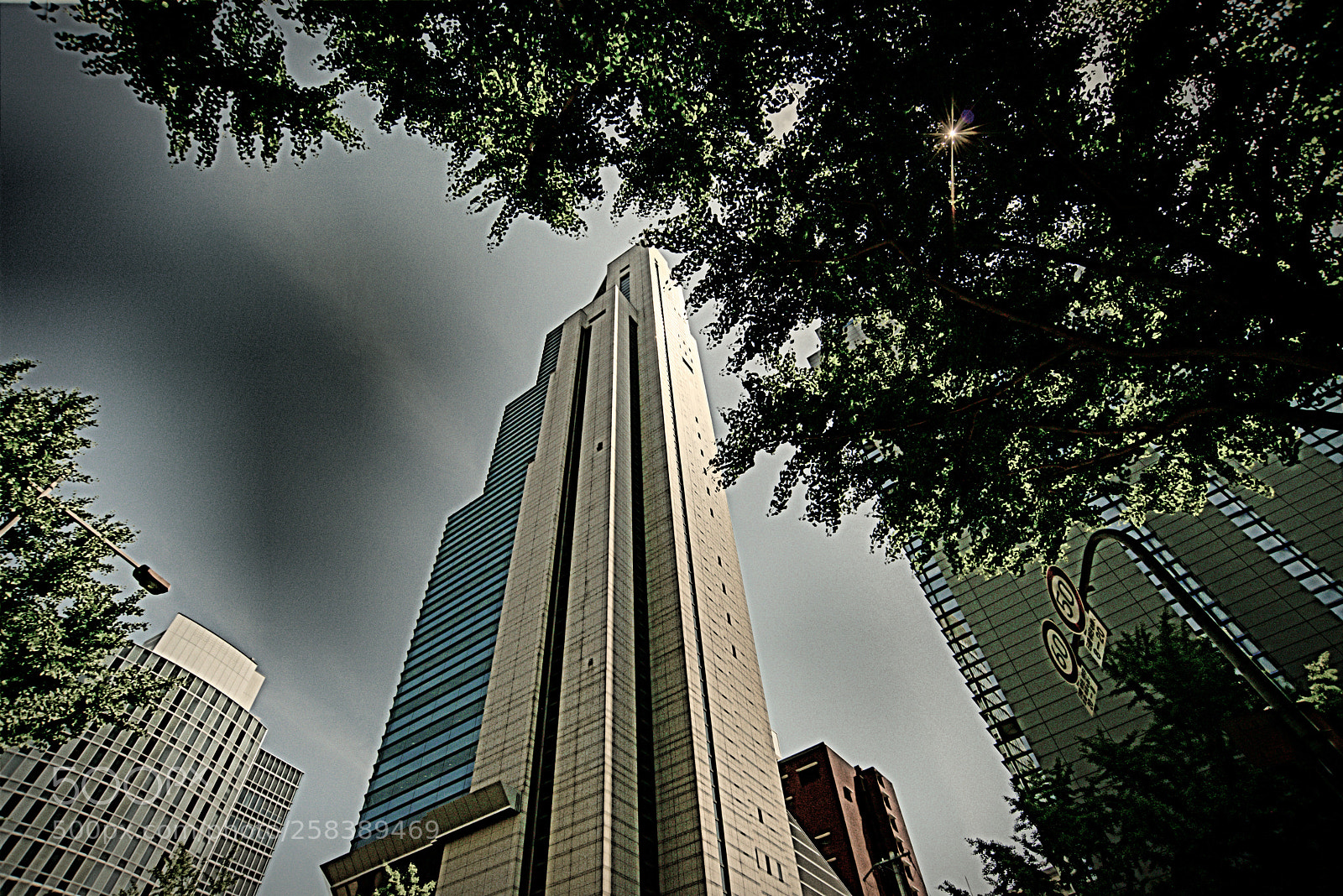 Nikon D800E sample photo. Sunbeams photography