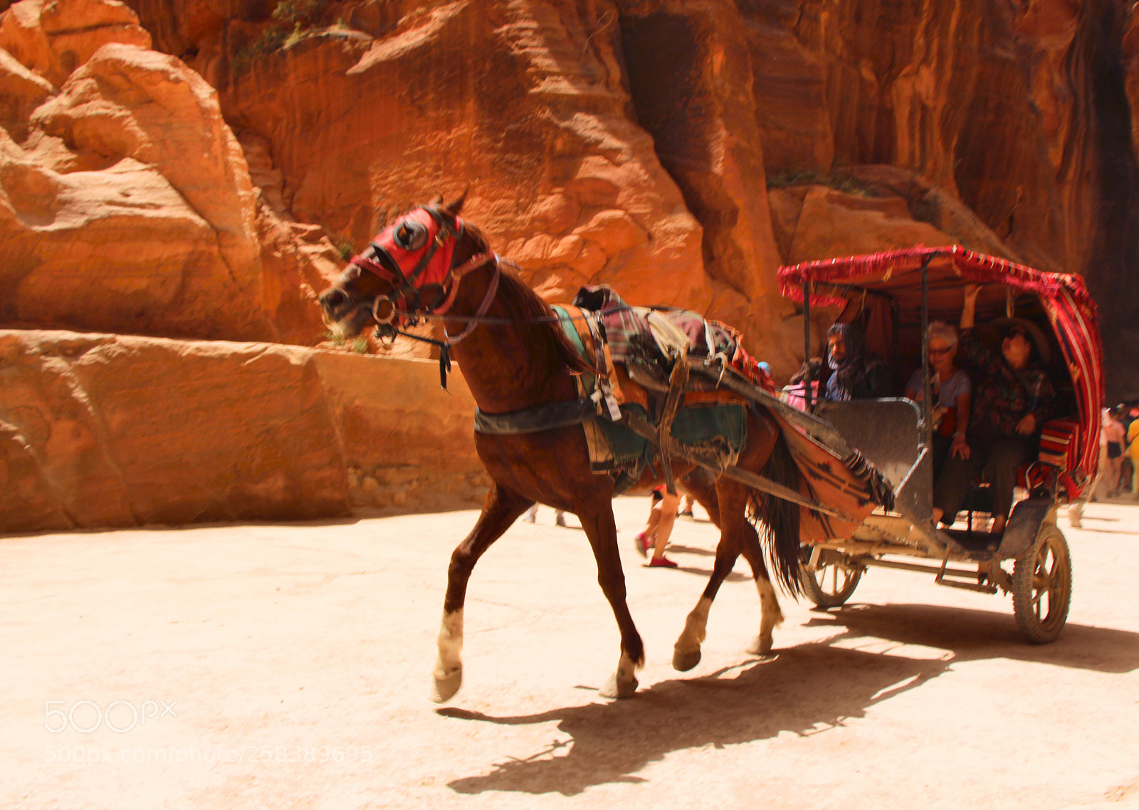 Canon EOS 650D (EOS Rebel T4i / EOS Kiss X6i) sample photo. Petra. jordan. taxi photography
