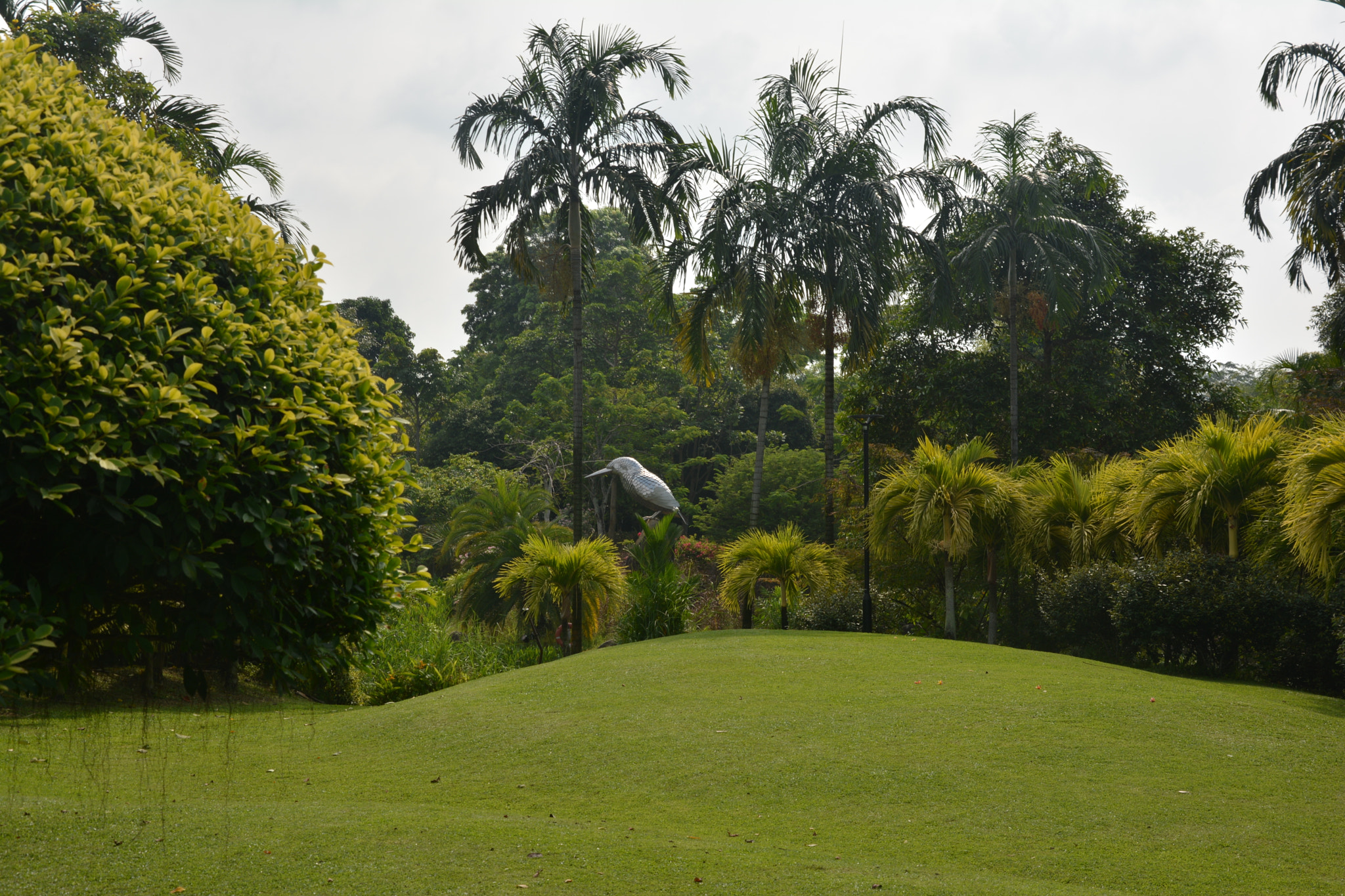 Nikon D5200 sample photo. Dsc photography