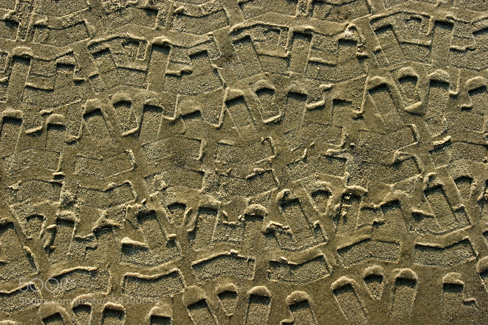Canon EOS 20D sample photo. Tire tracks in sand photography