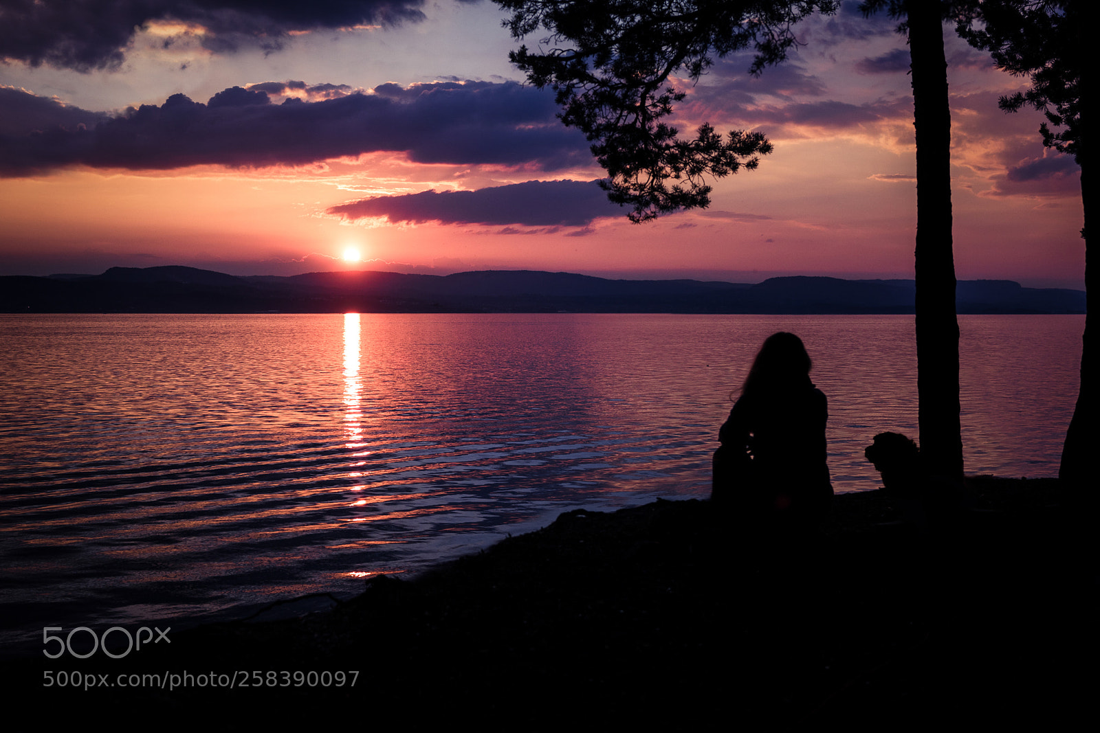 Canon EOS 760D (EOS Rebel T6s / EOS 8000D) sample photo. Friends for life photography