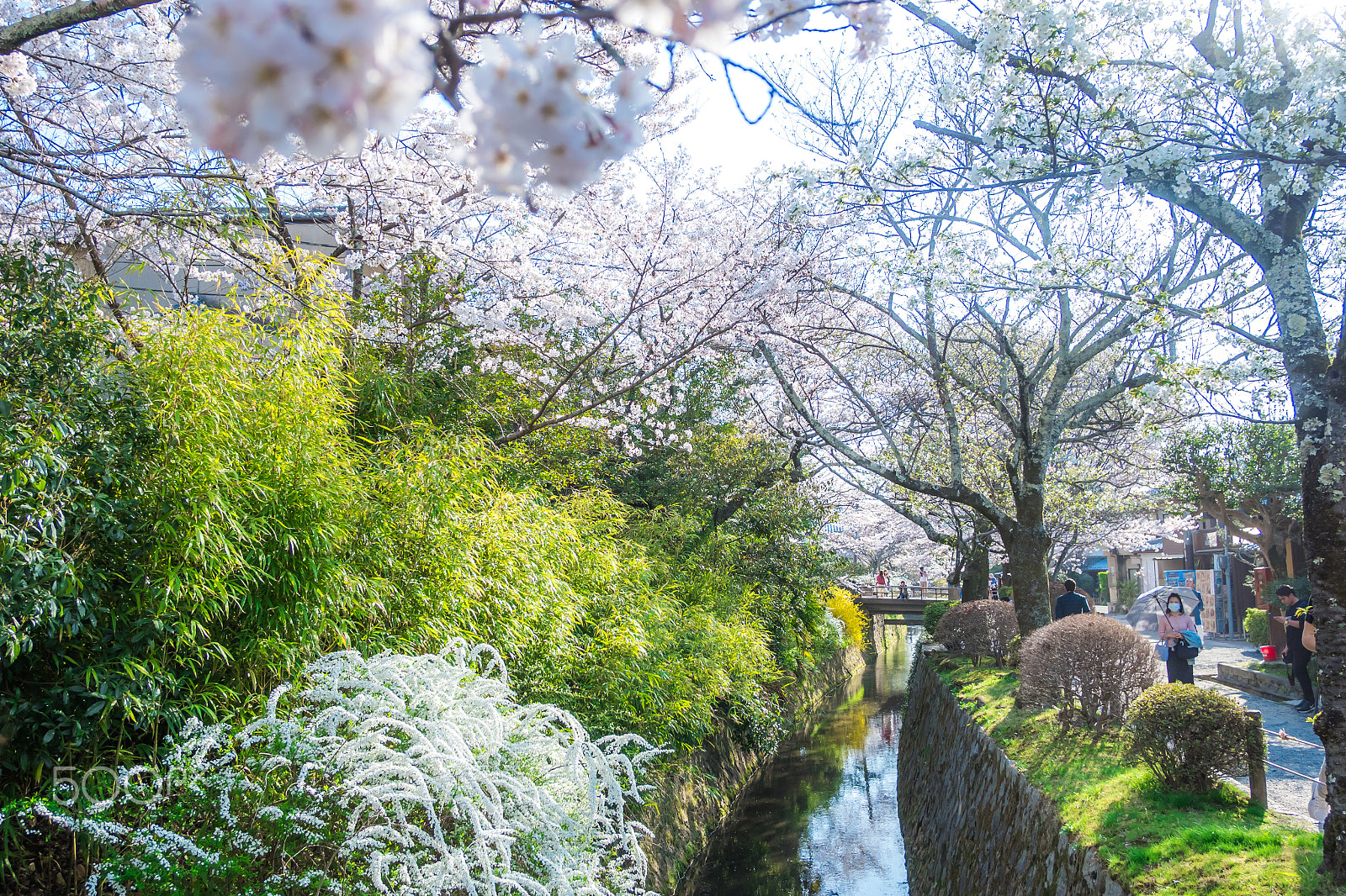 Fujifilm X-A10 sample photo. Kyoto photography