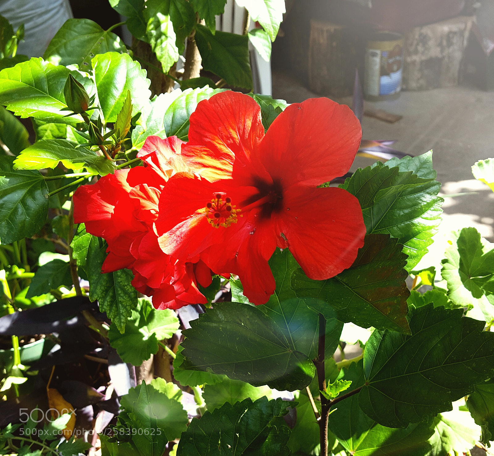 Samsung GALAXY S6 edge sample photo. 20160825_231413 1.jpg photography