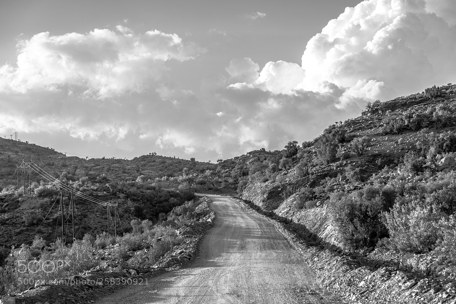 Canon EOS 6D Mark II sample photo. Te road to the photography
