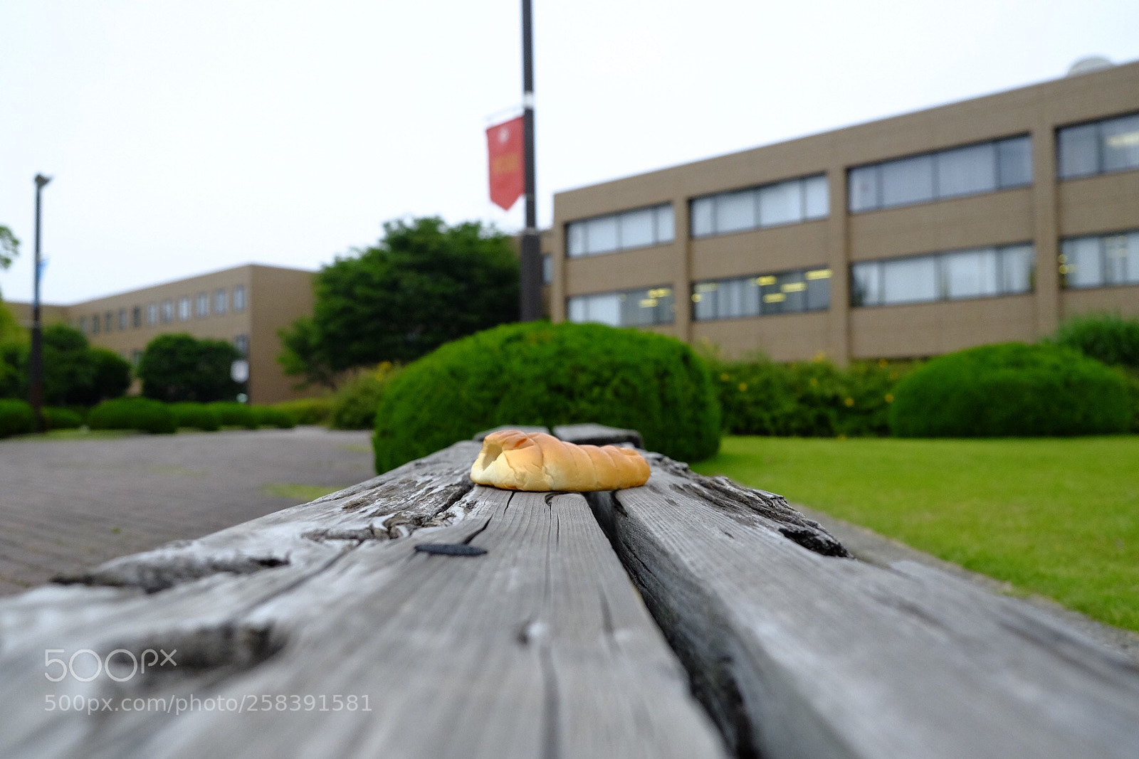 Fujifilm X-T1 sample photo. Linear perspective  photography