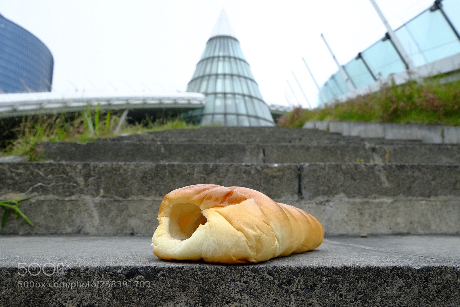 Fujifilm X-T1 sample photo. Low angle  photography