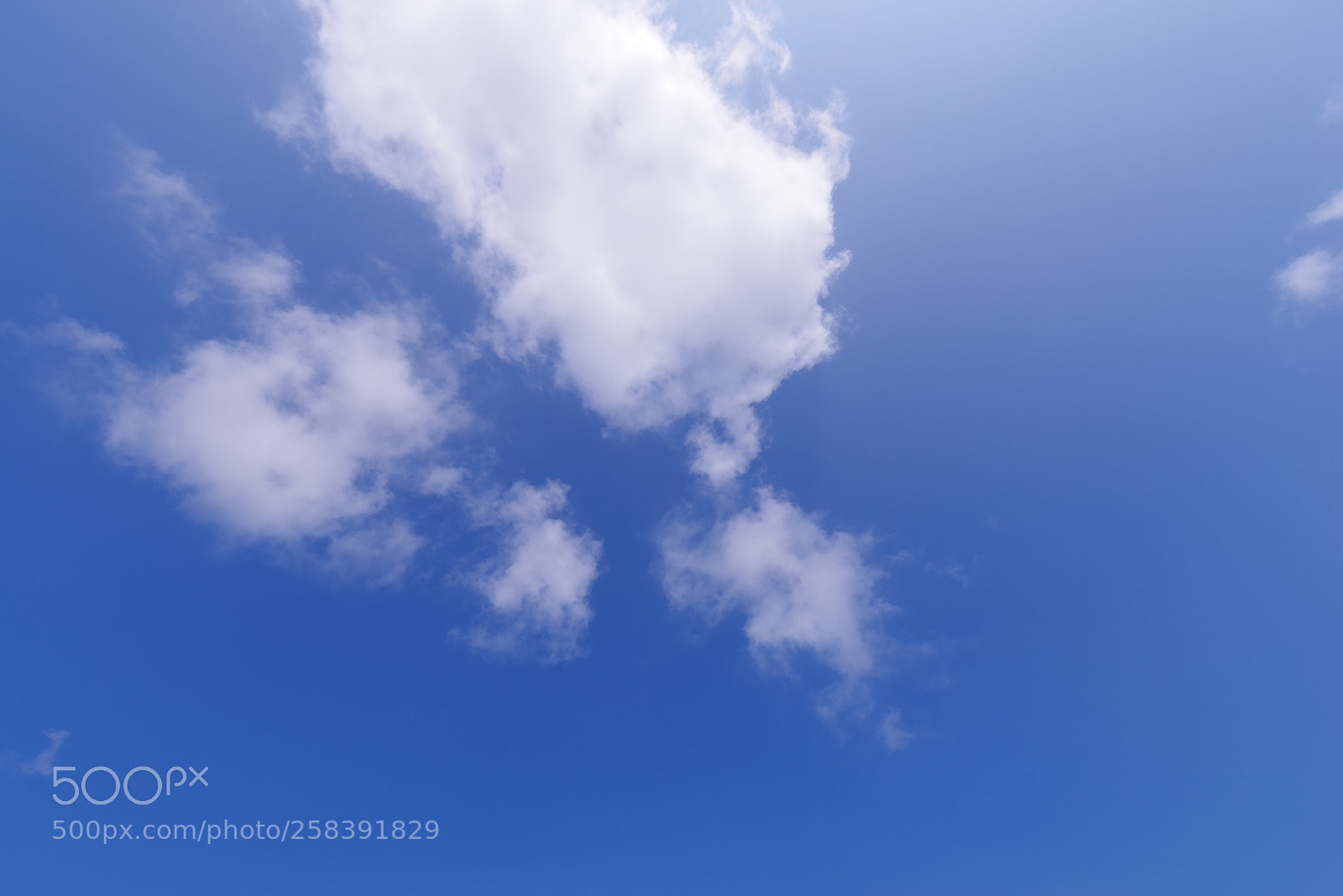 Pentax K-1 sample photo. Take your mark photography