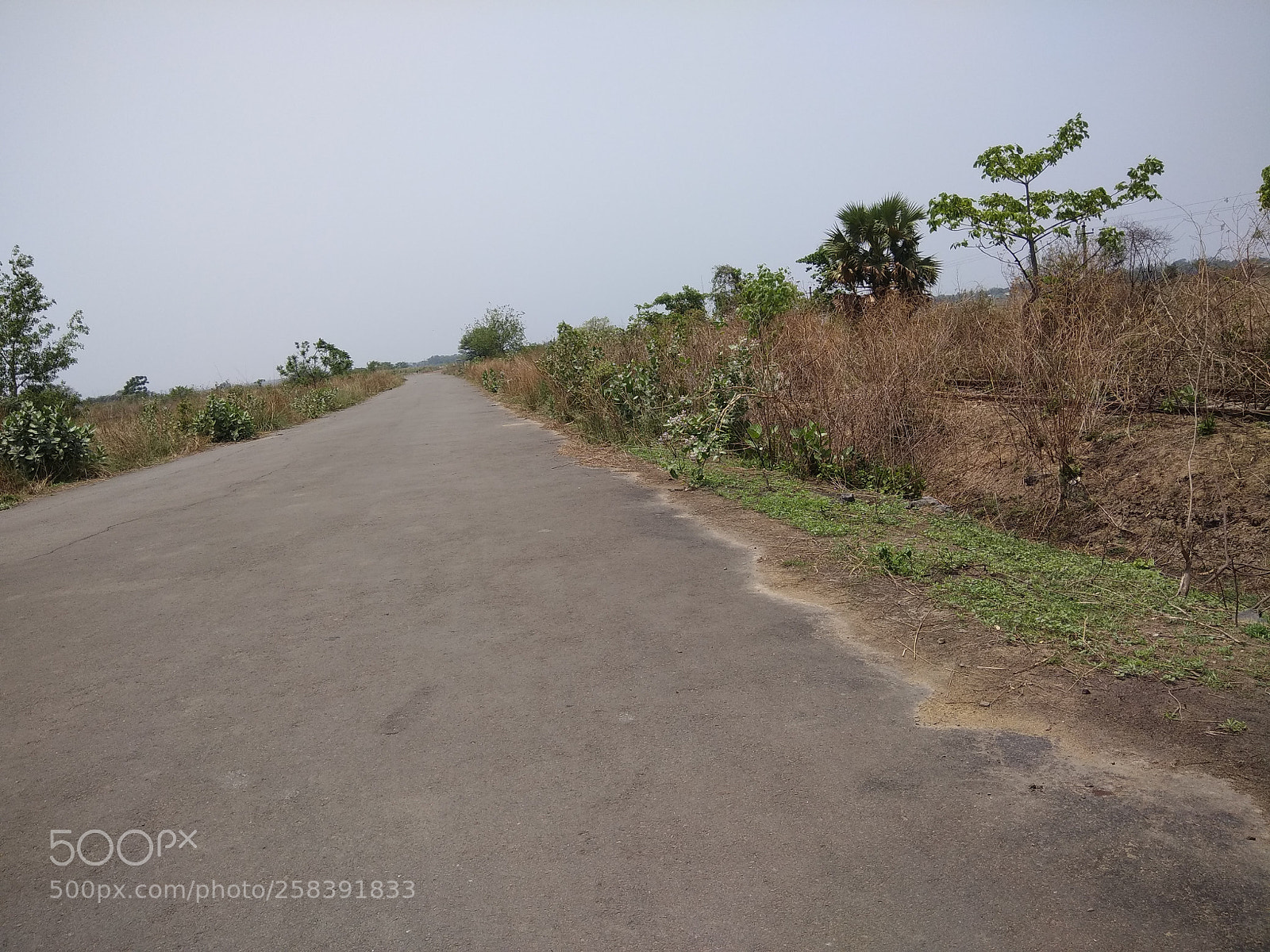 Xiaomi Redmi Note 4 sample photo. Untitled photography