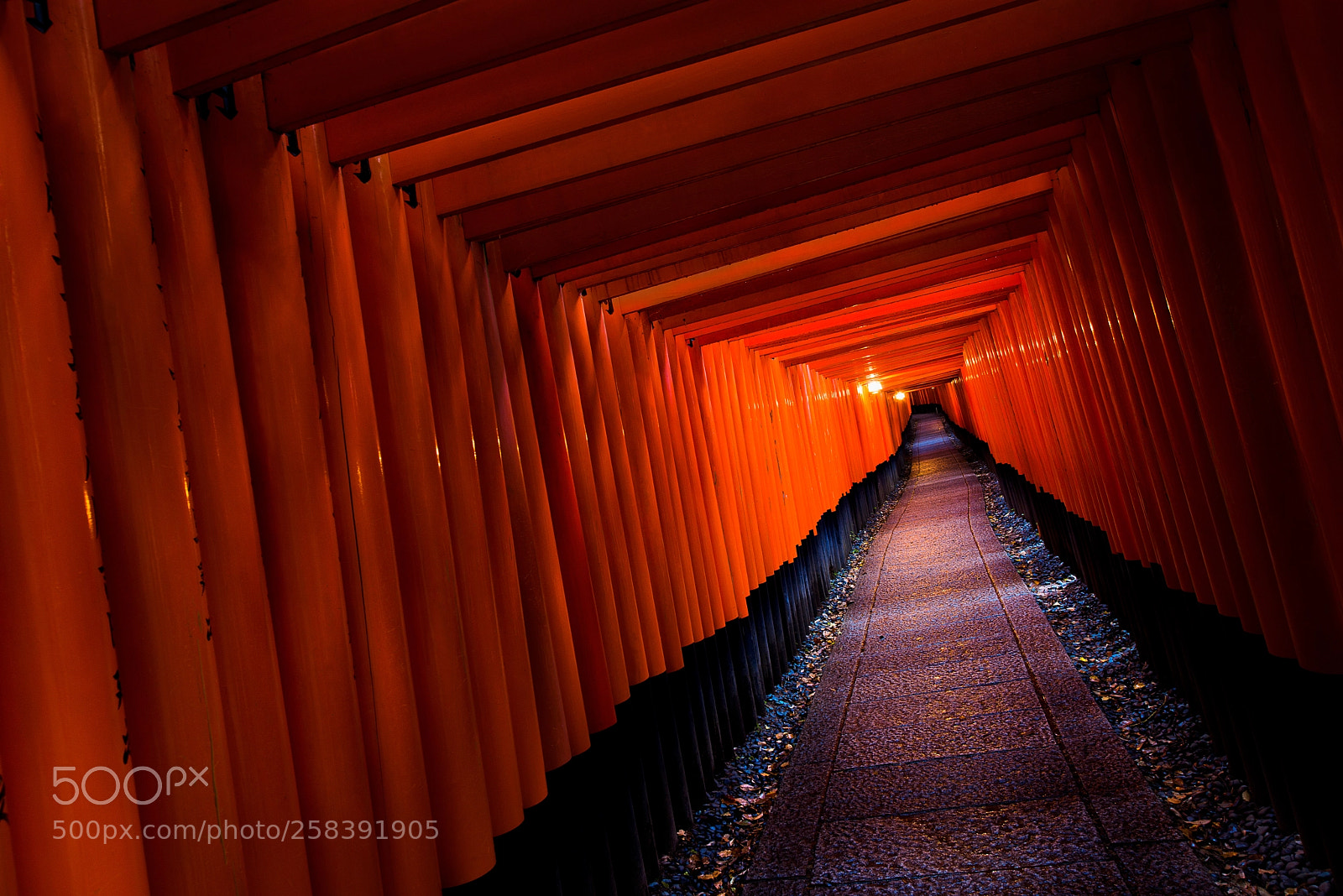Nikon D800 sample photo. Rows after rows... photography