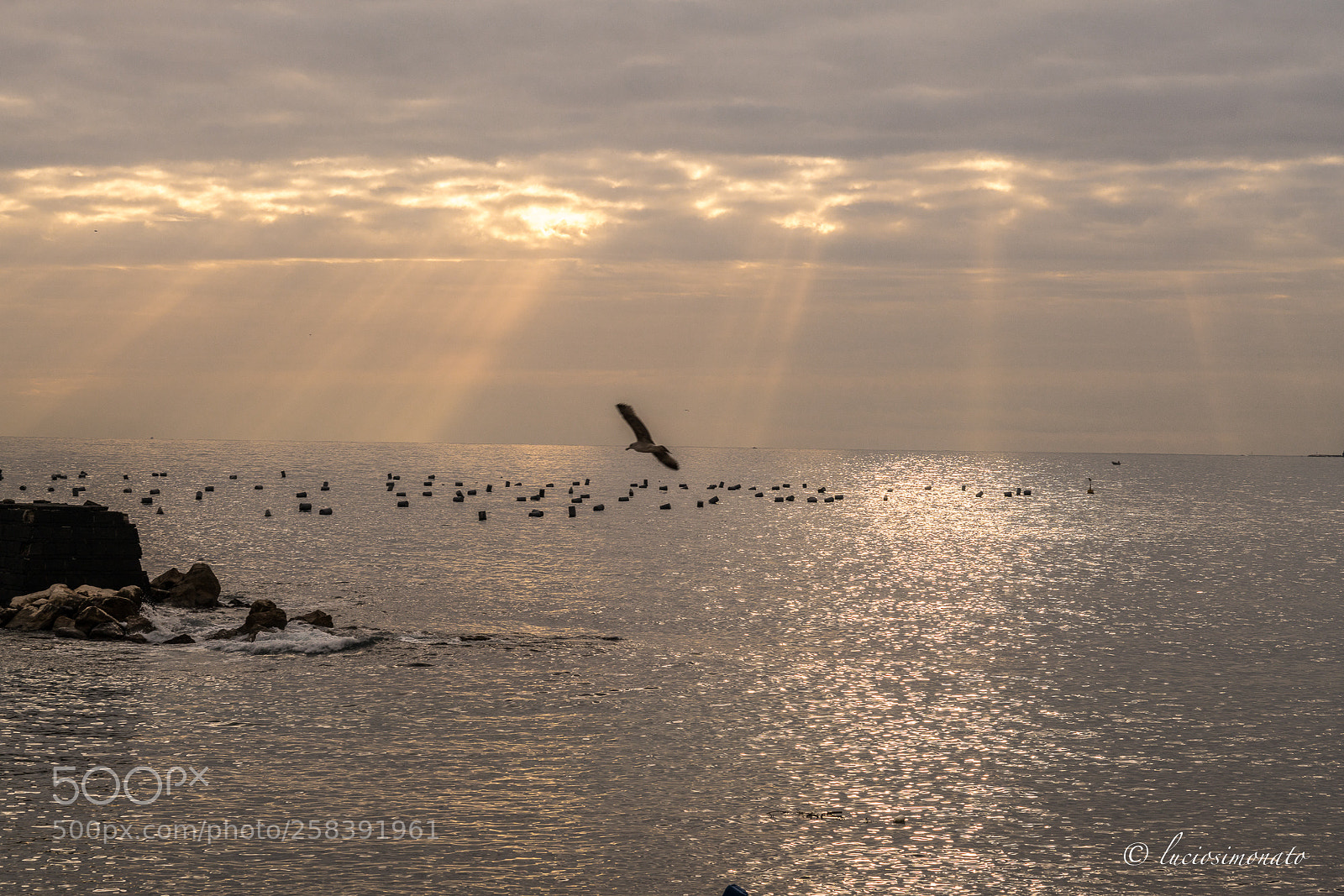 Sony a99 II sample photo. Peace photography