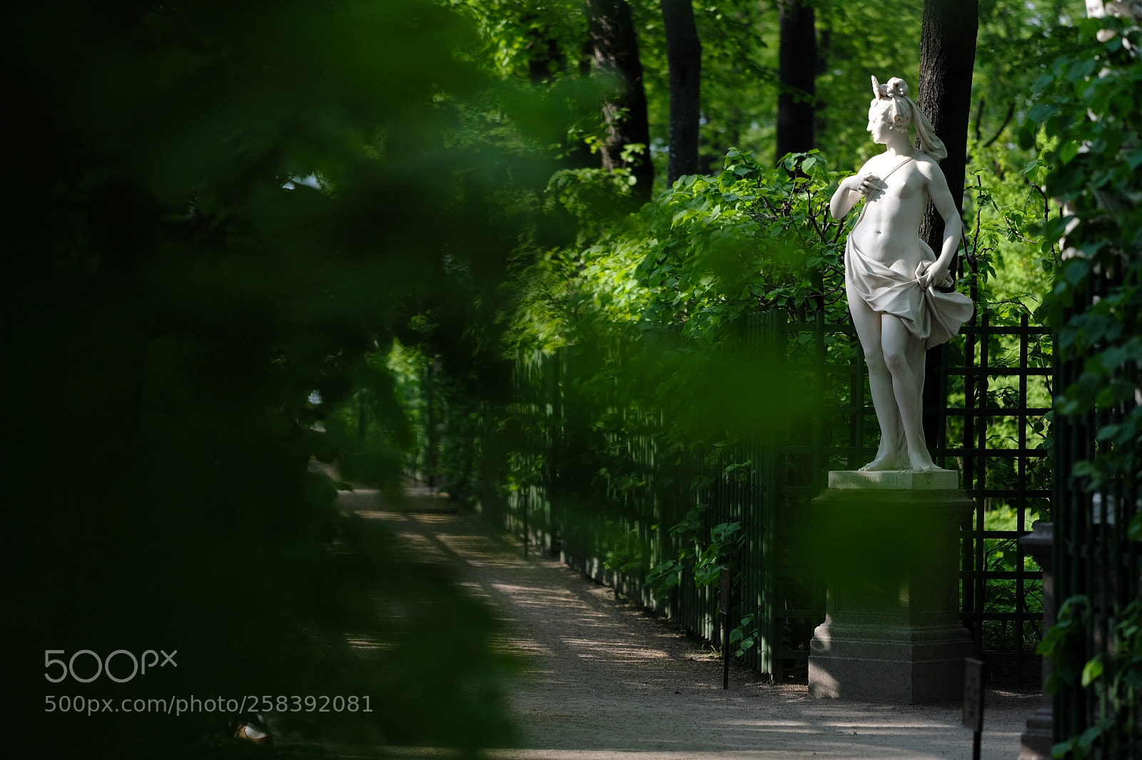 Fujifilm X-T2 sample photo. Spring in summer garden photography