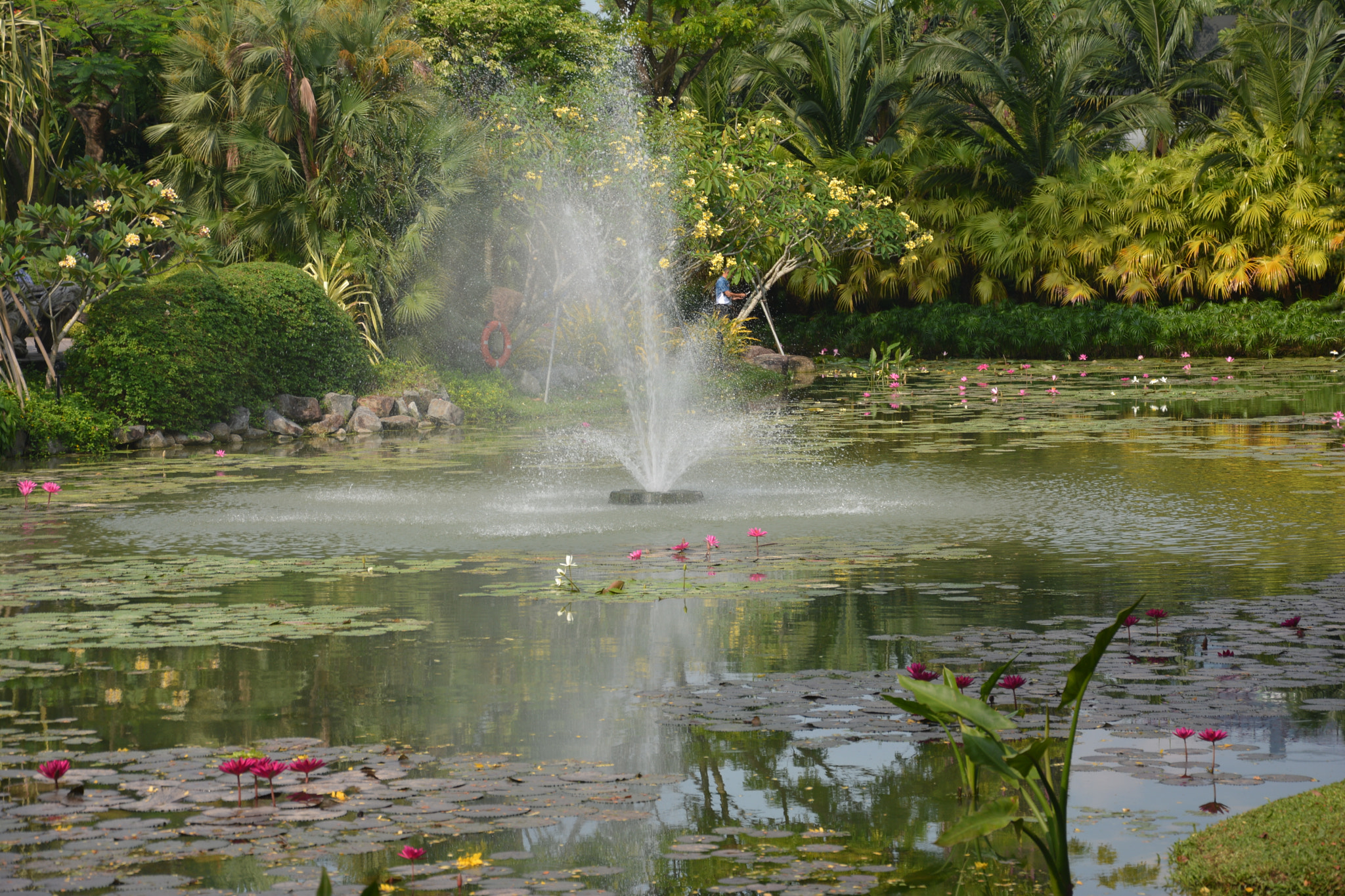 Nikon D5200 sample photo. Dsc photography