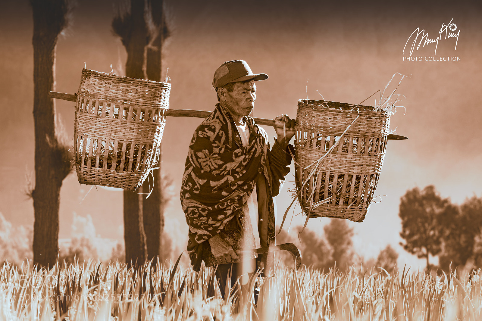 Nikon D850 sample photo. Onion farmer photography