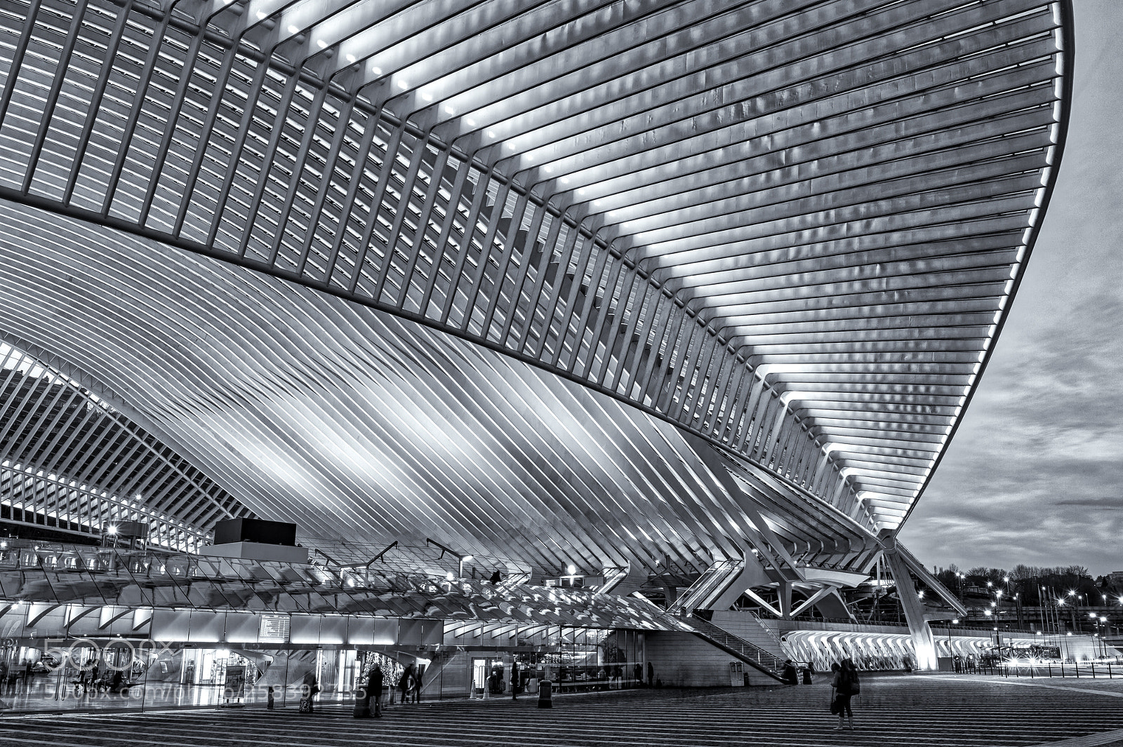 Nikon D4S sample photo. Guillemins liège ! photography