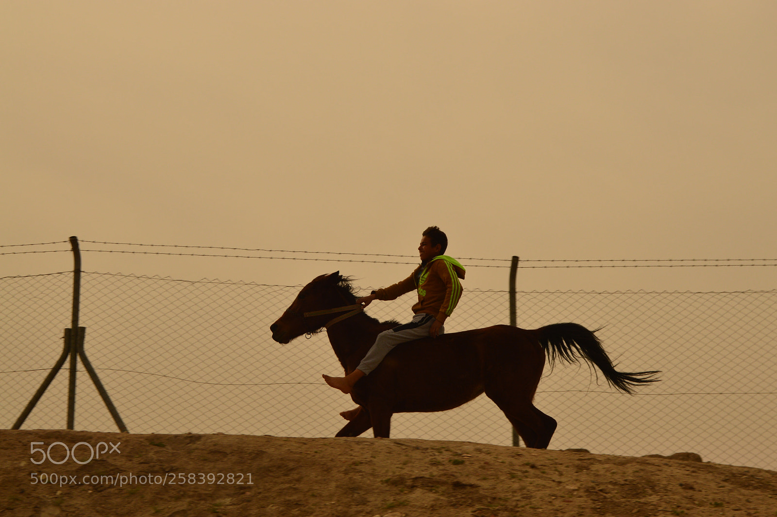 Nikon D3200 sample photo. Untitled photography