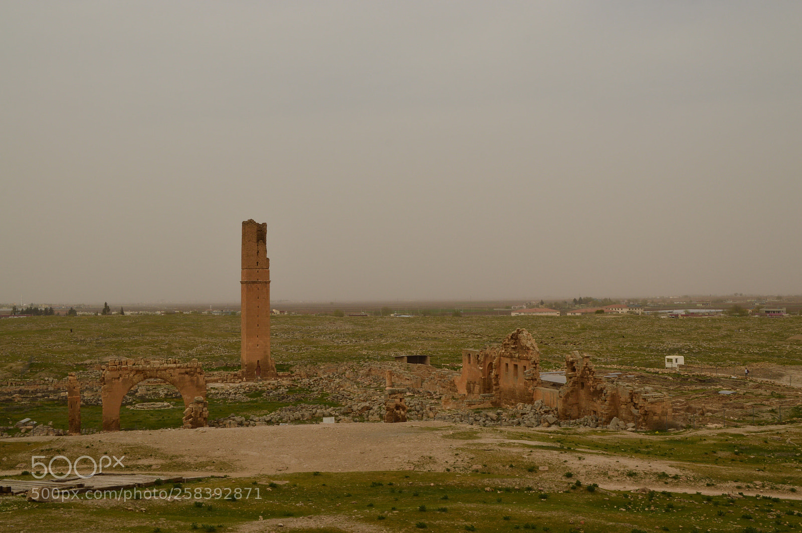 Nikon D3200 sample photo. Untitled photography