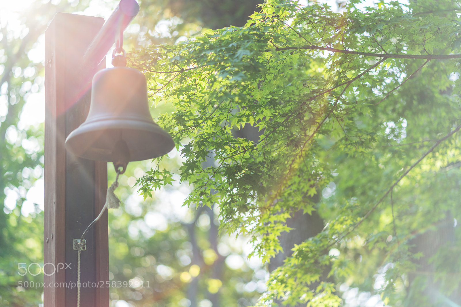 Sony a7R III sample photo. Bell with flare photography