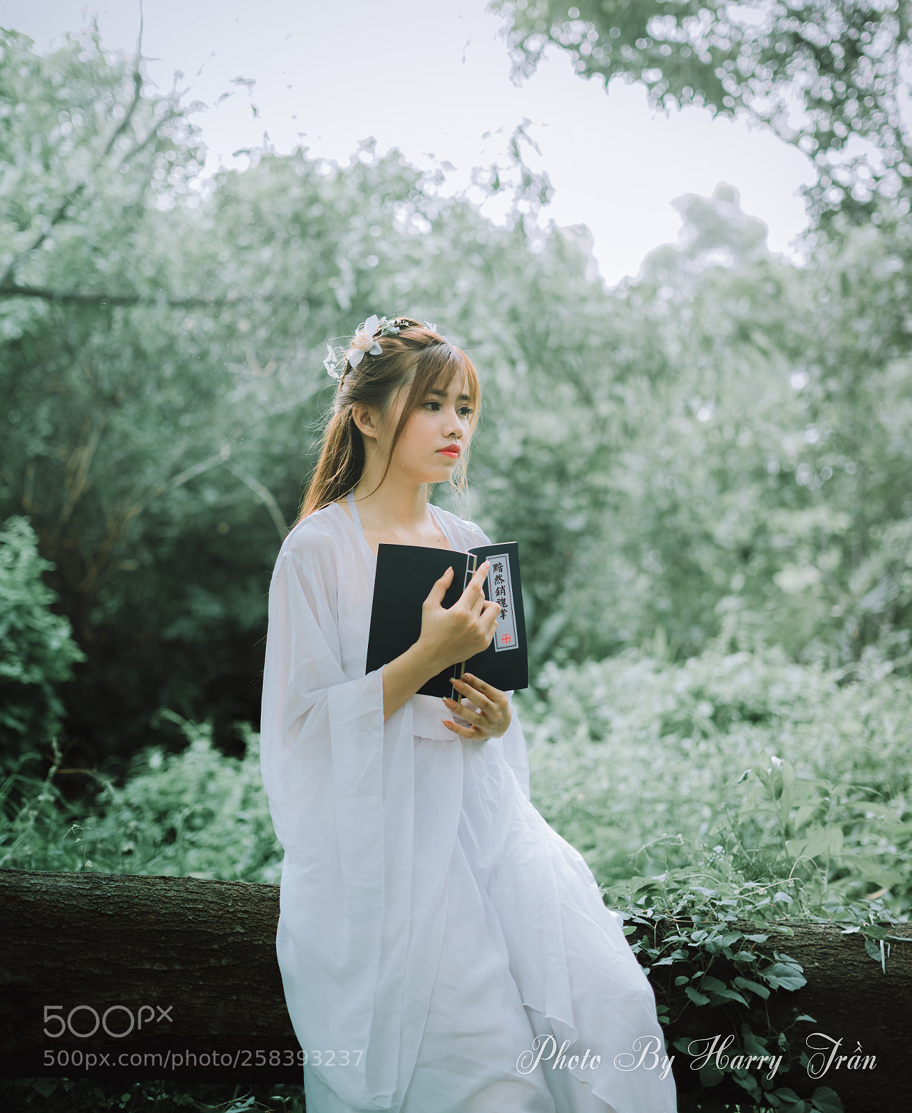 Sony a7 II sample photo. 4.jpg photography