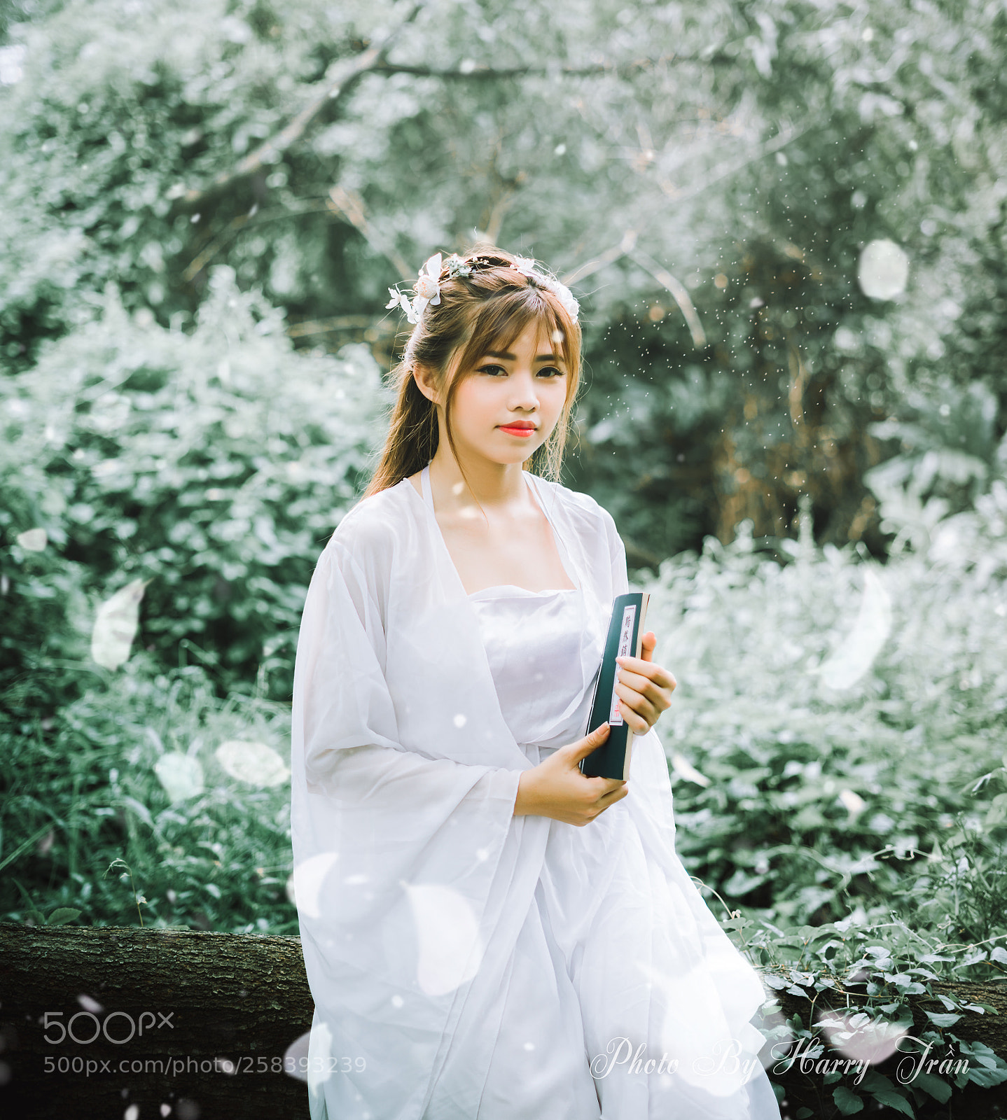 Sony a7 II sample photo. 3.jpg photography