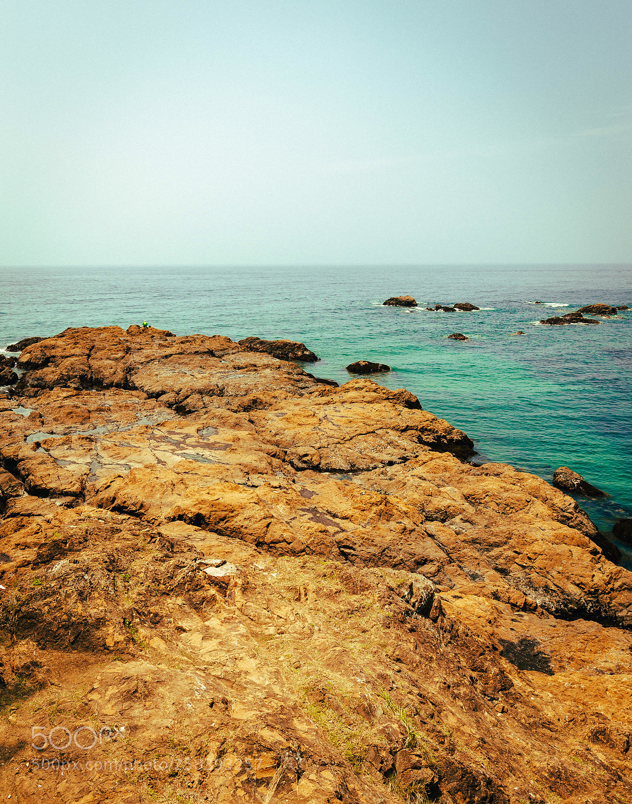 Canon EOS 6D sample photo. Untitled photography
