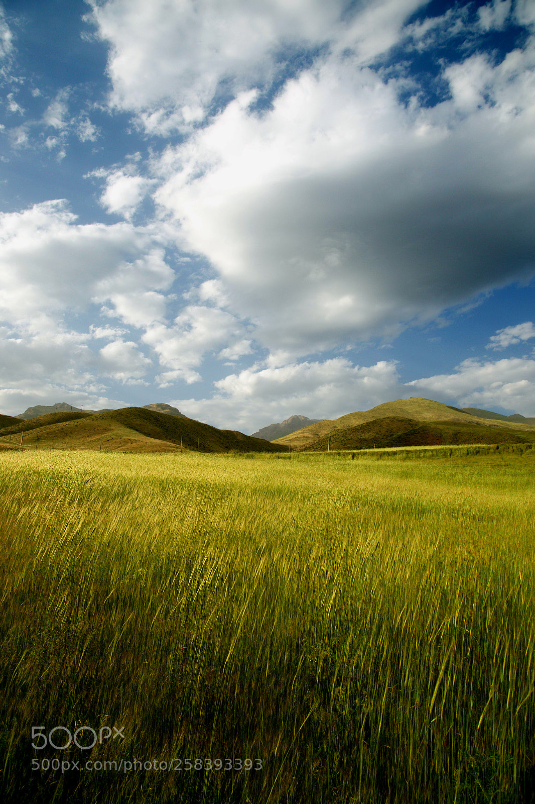 Canon EOS 6D sample photo. Img photography