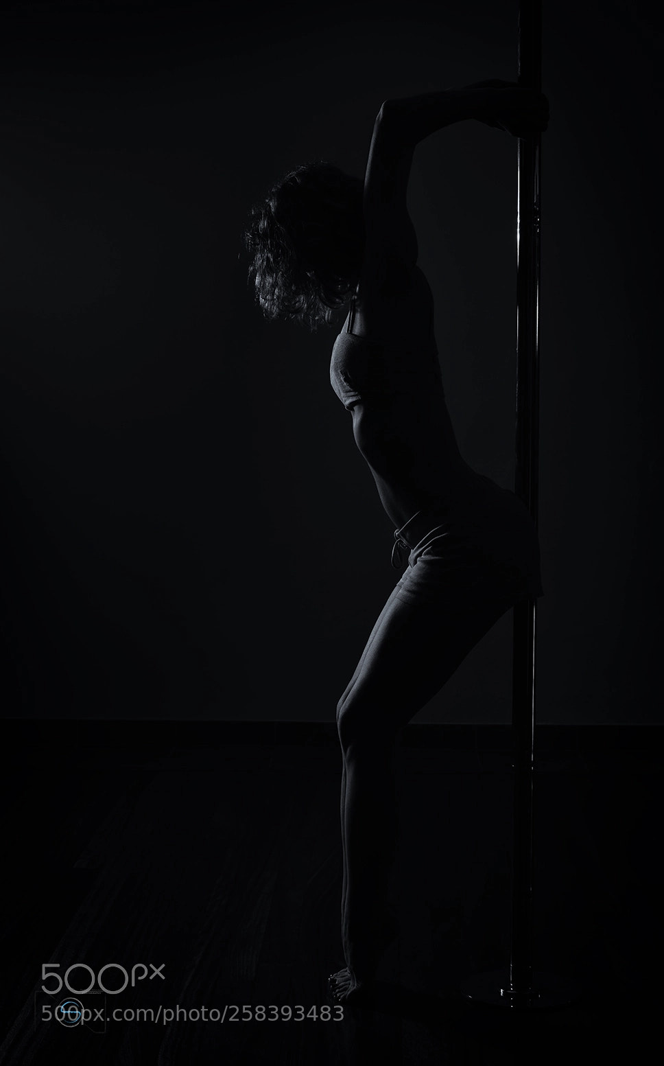 Nikon D610 sample photo. Pole dance iv photography