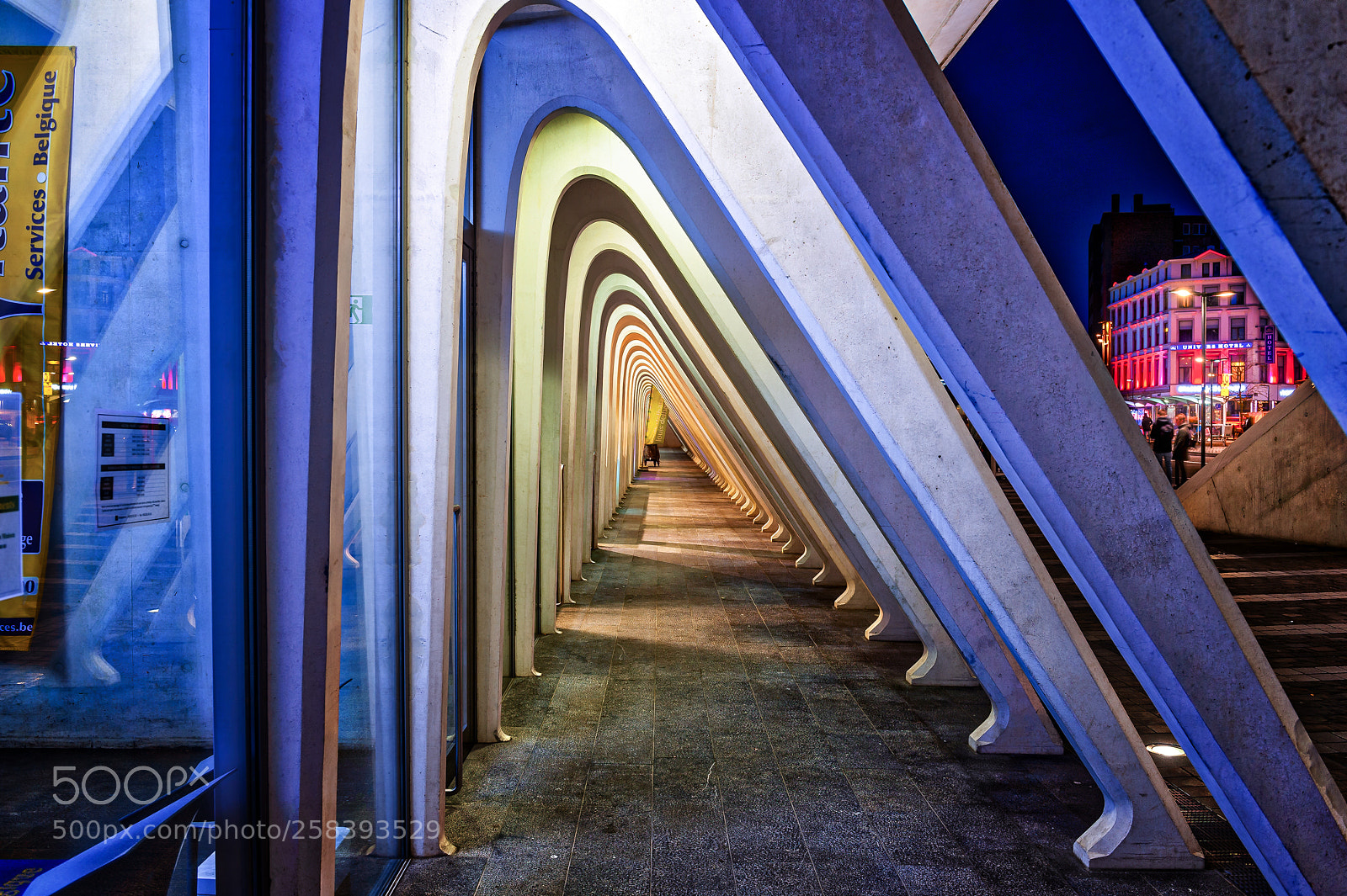 Nikon D4S sample photo. Part of guillemins li photography