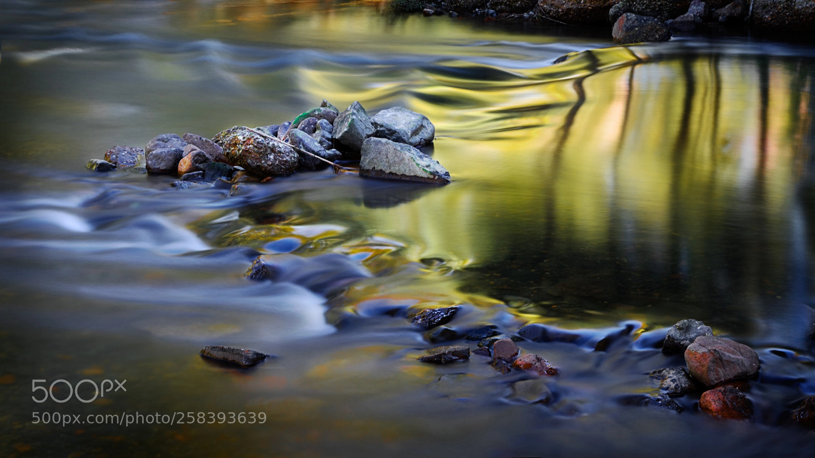 Canon EOS 5D Mark IV sample photo. River of honey photography