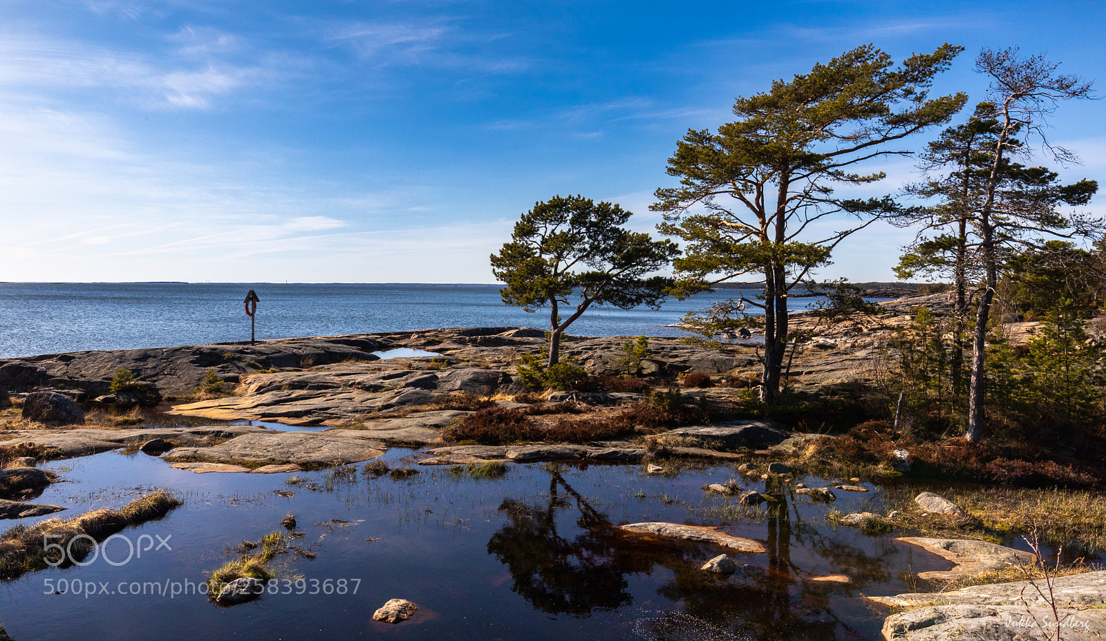 Canon EOS 5D Mark IV sample photo. First warm days photography