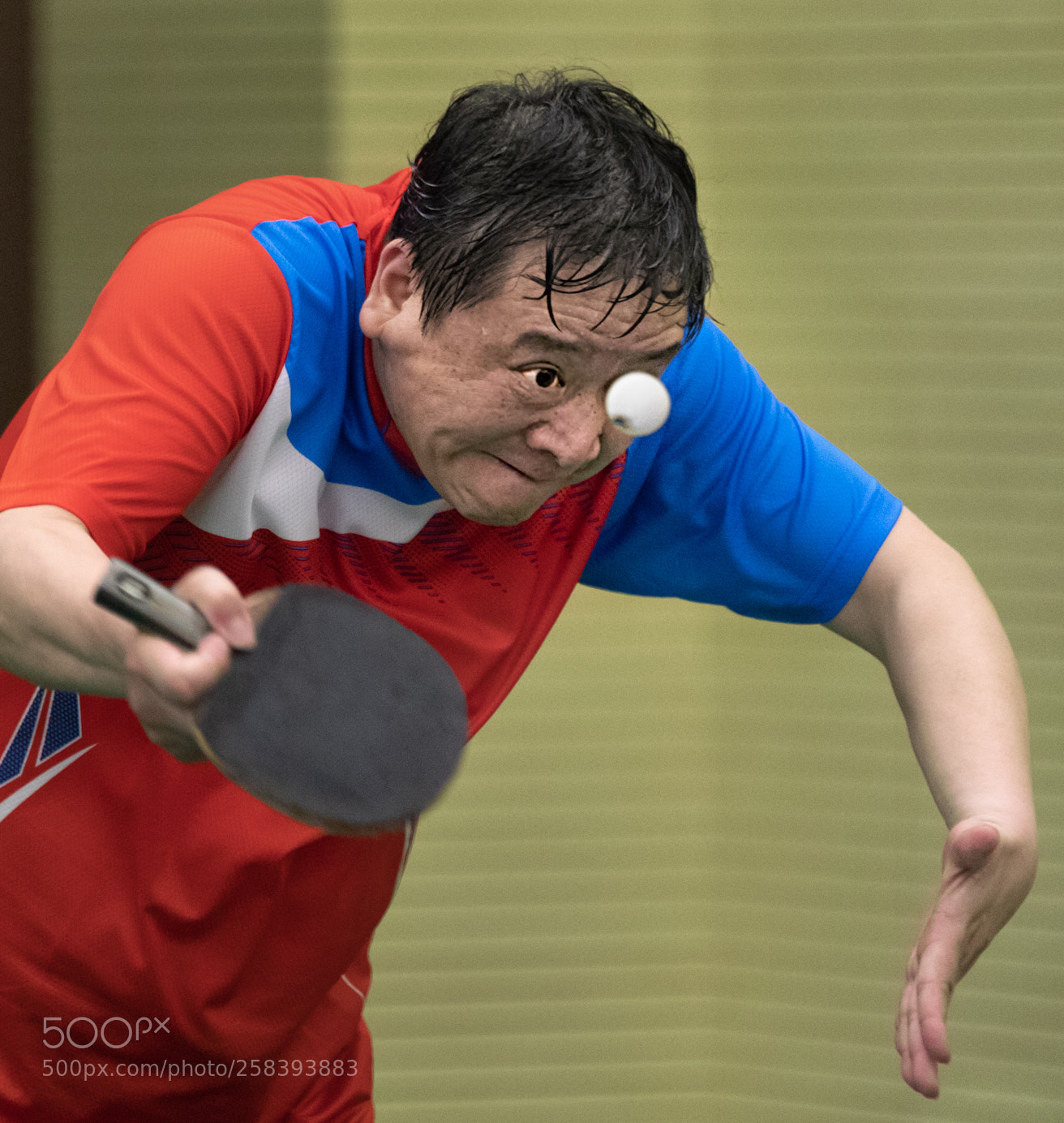 Canon EOS 5D Mark IV sample photo. Pingpang ball photography