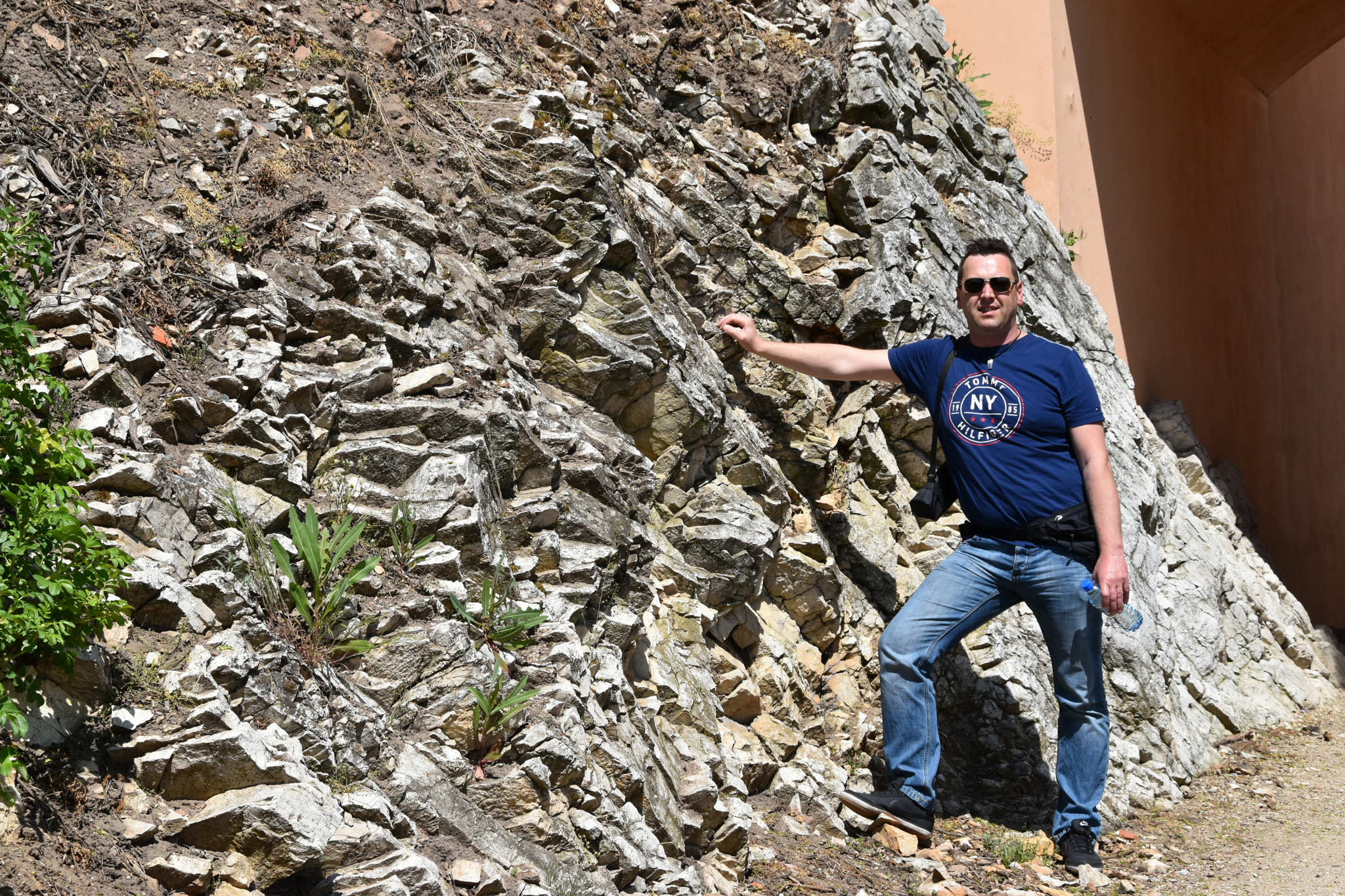 Nikon D5600 sample photo. Dsc photography