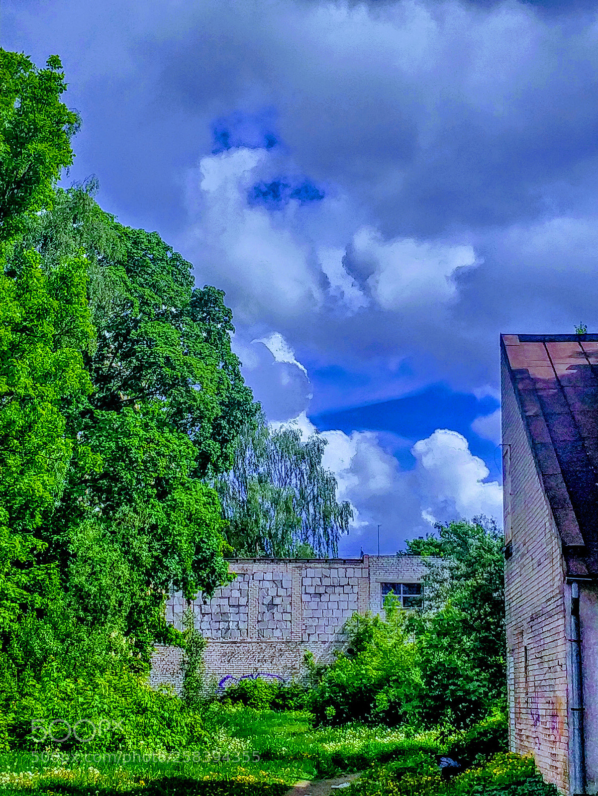 OnePlus 5 sample photo. Urban nature photography