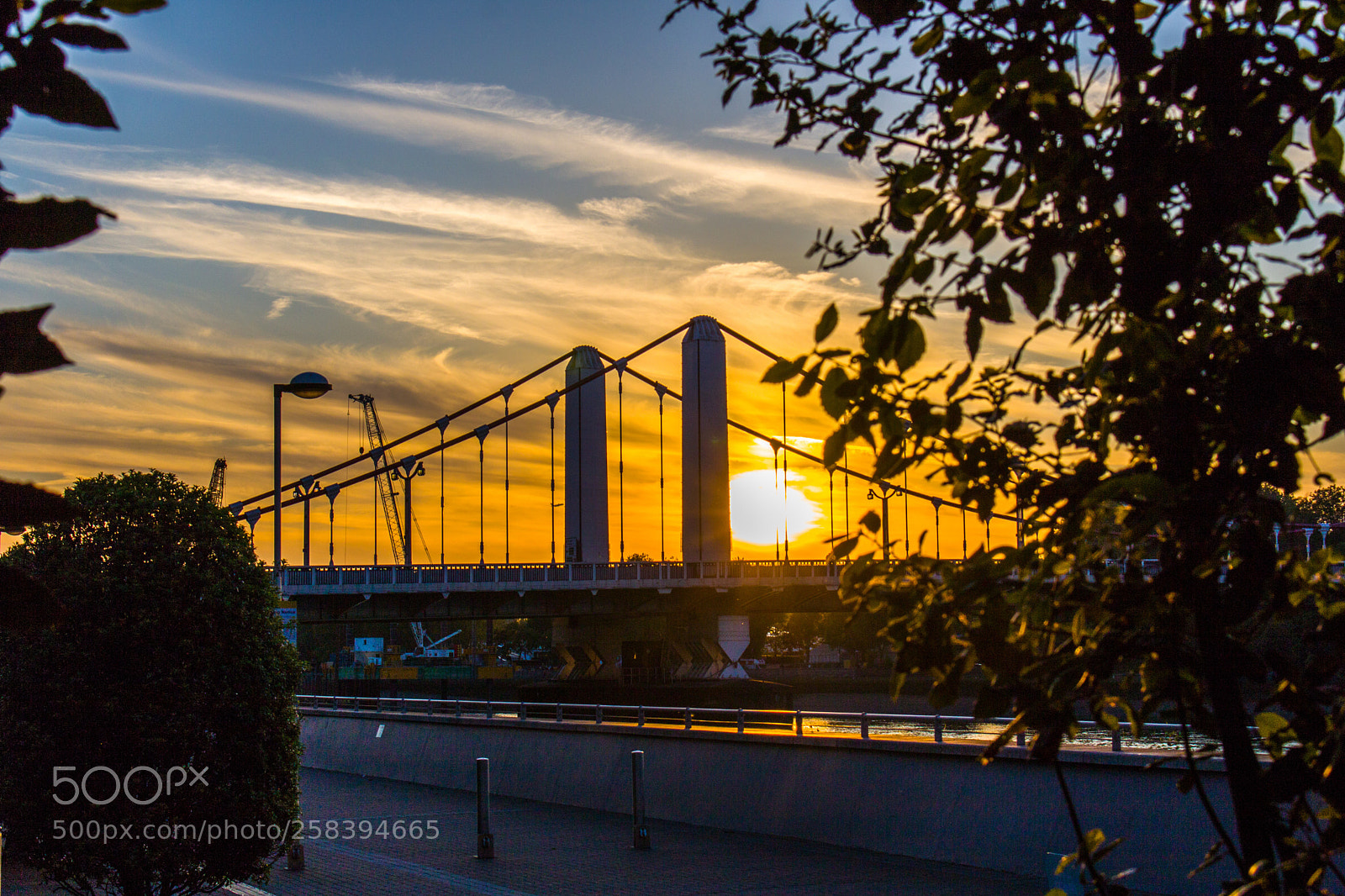 Canon EOS 750D (EOS Rebel T6i / EOS Kiss X8i) sample photo. Chelsea bridge silhouette  photography