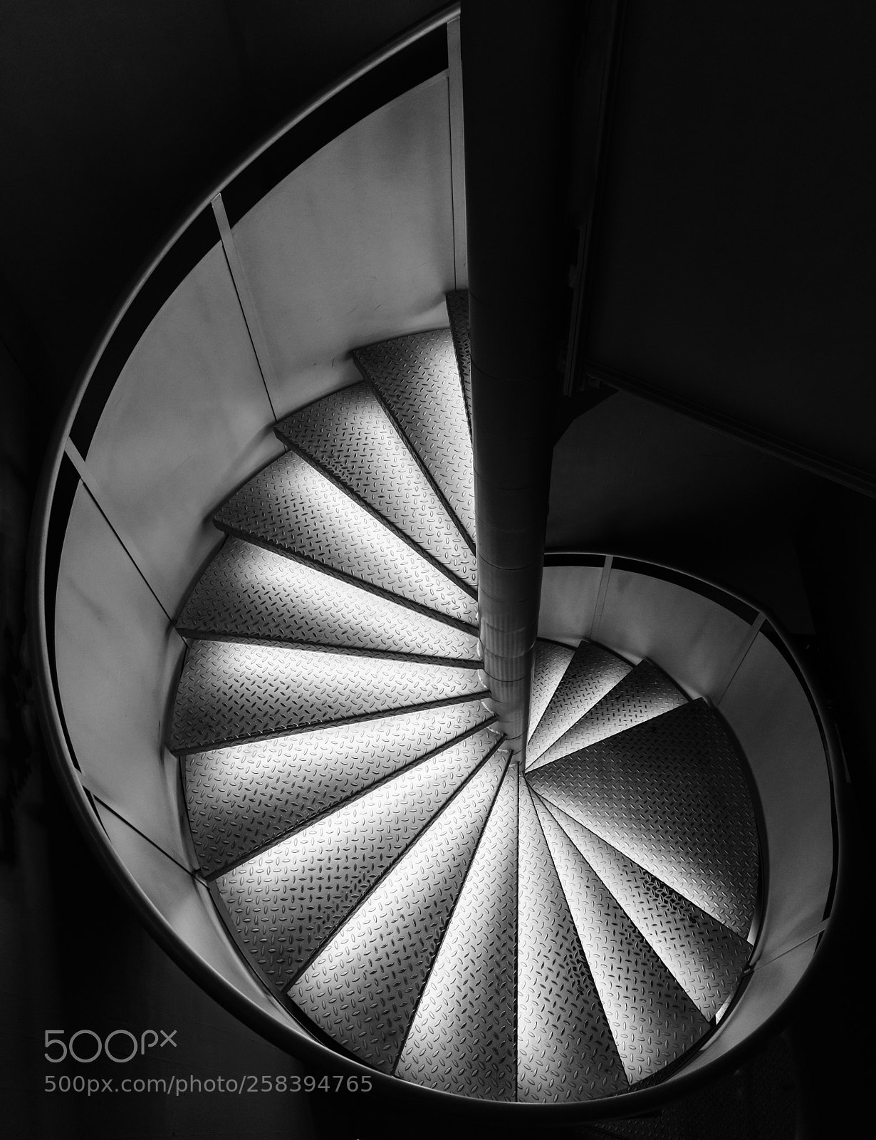 Sony a7R II sample photo. Shell photography