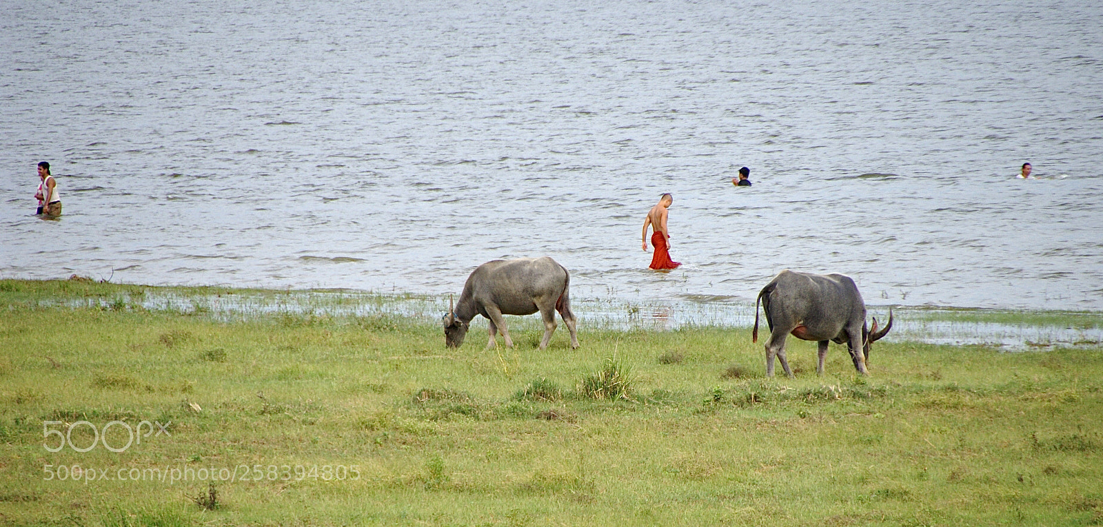 Sony Alpha DSLR-A300 sample photo. Burma road (amarapura) photography